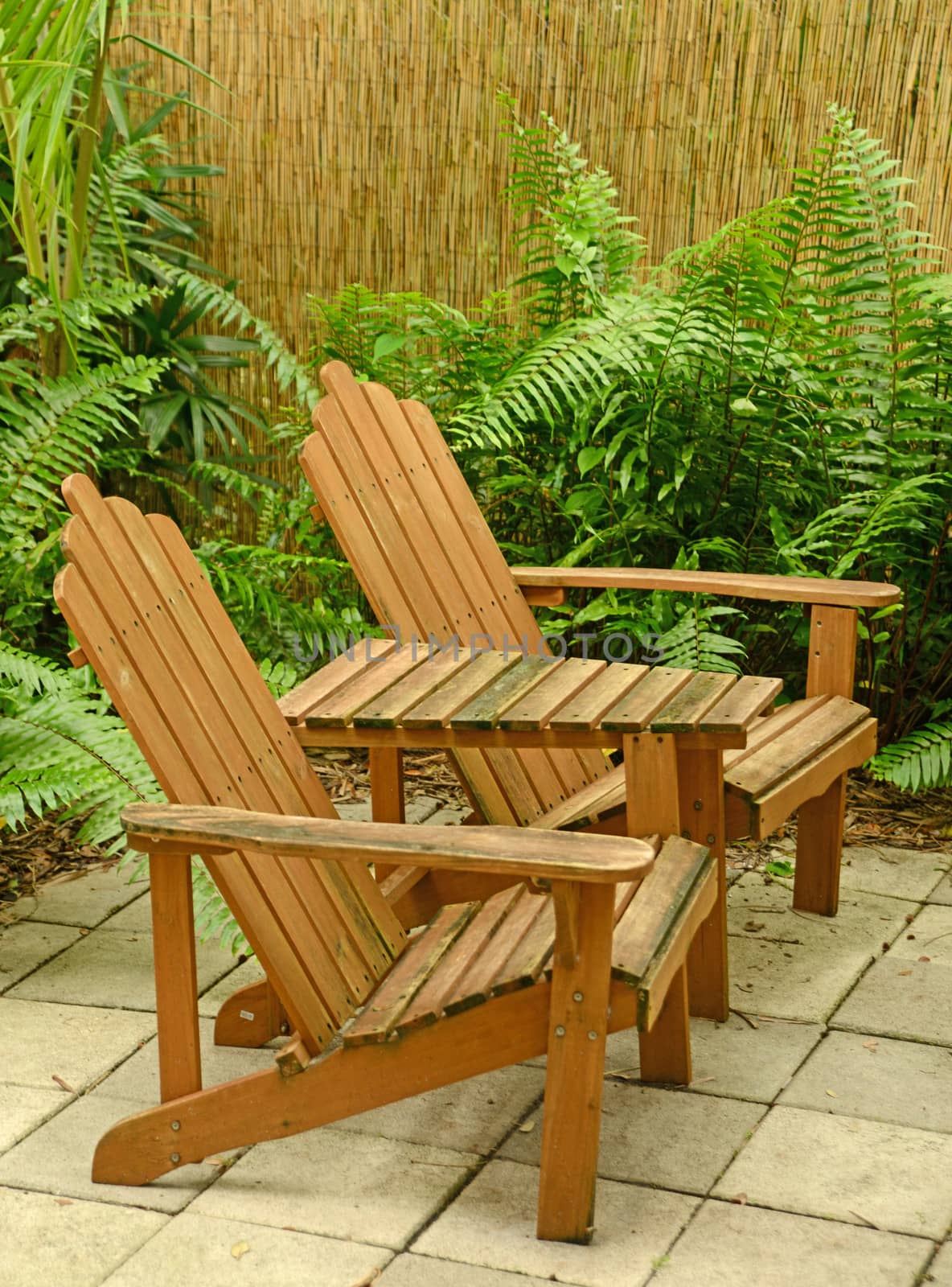 wooden Adirondack chairs in tropical backyard in summer on patio
