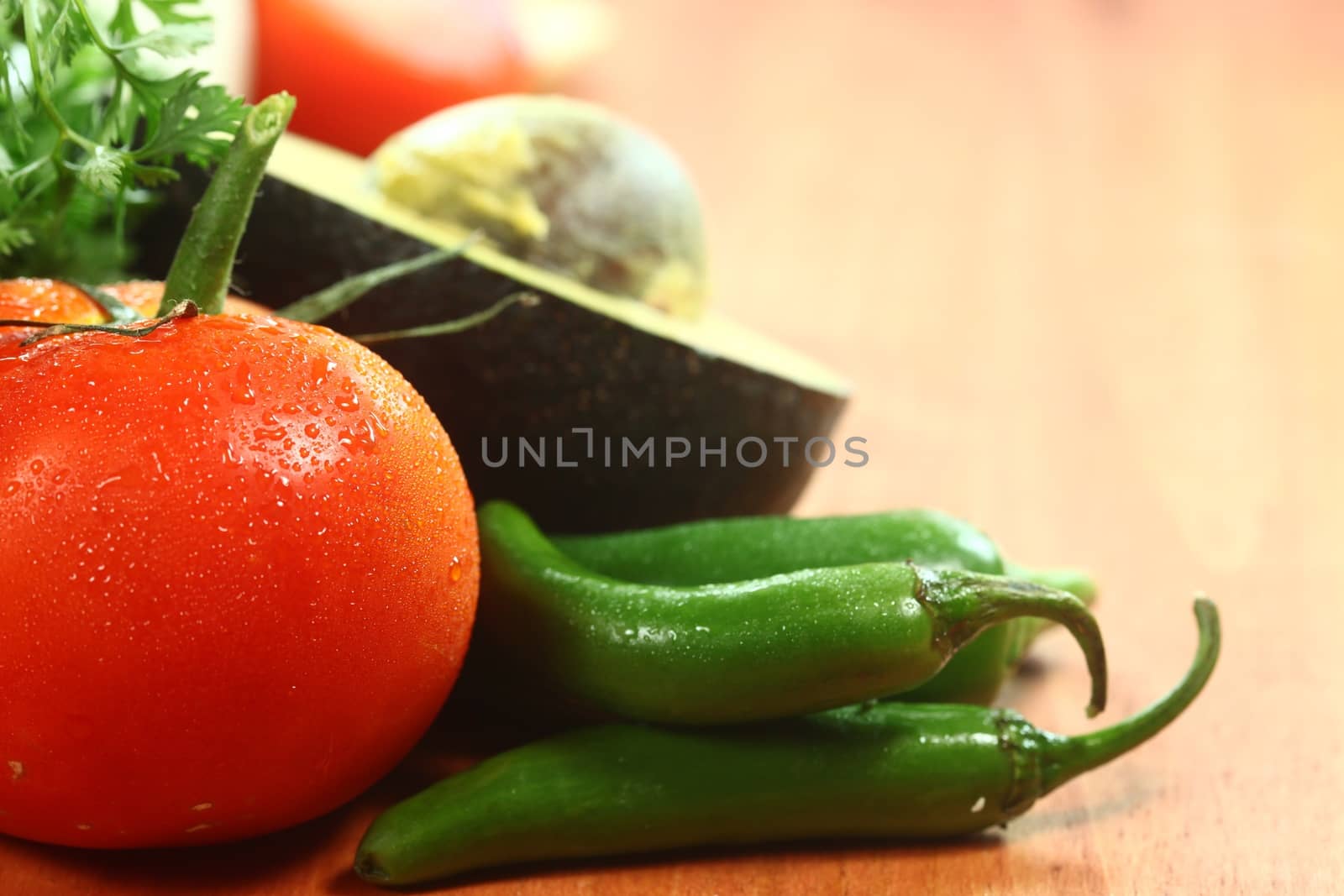 Salsa Ingredients of Avocado, Cilantro, Tomatoes and Peppers by tobkatrina