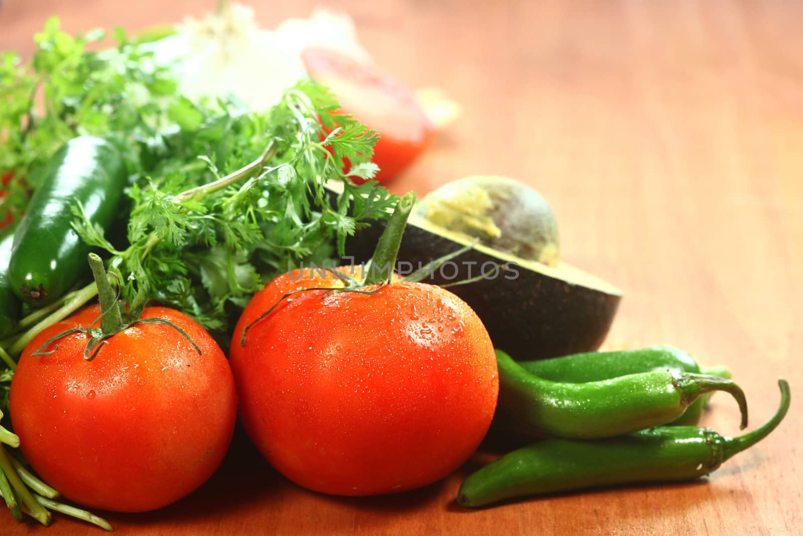 Salsa Ingredients of Avocado, Cilantro, Tomatoes and Peppers by tobkatrina