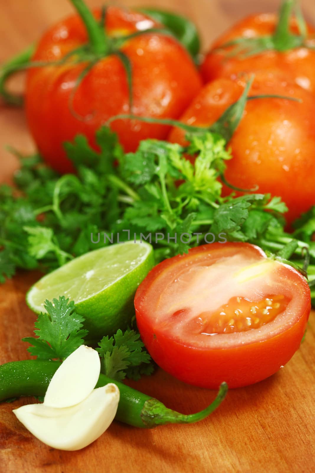 Salsa Ingredients of Avocado, Cilantro, Tomatoes and Peppers by tobkatrina