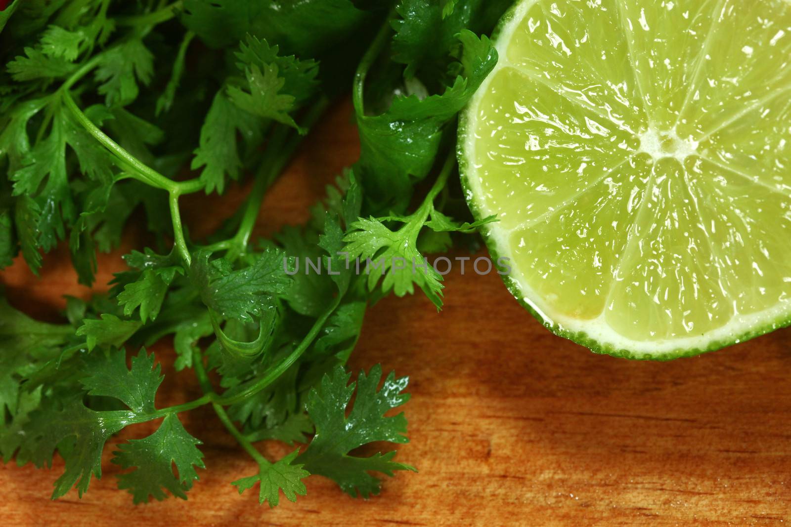 Salsa Ingredients of Lime and Cilantro by tobkatrina