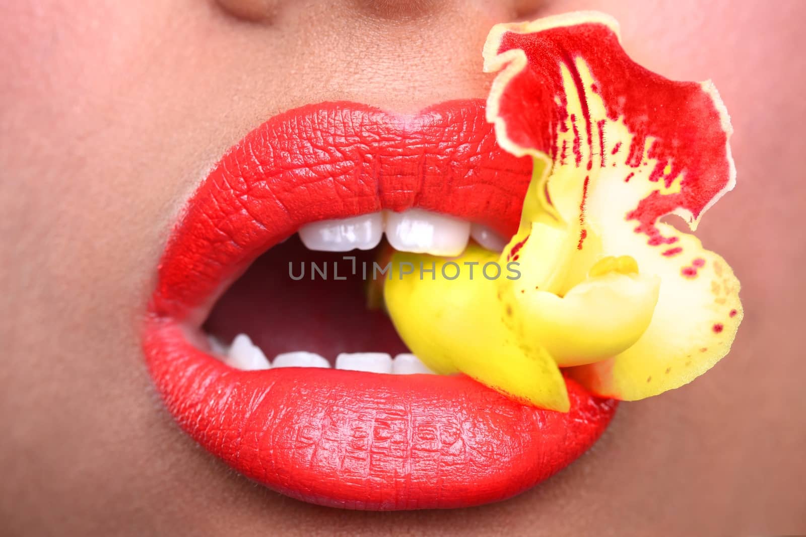 Beautiful Woman With Sensual Lips Holding Flower in Mouth