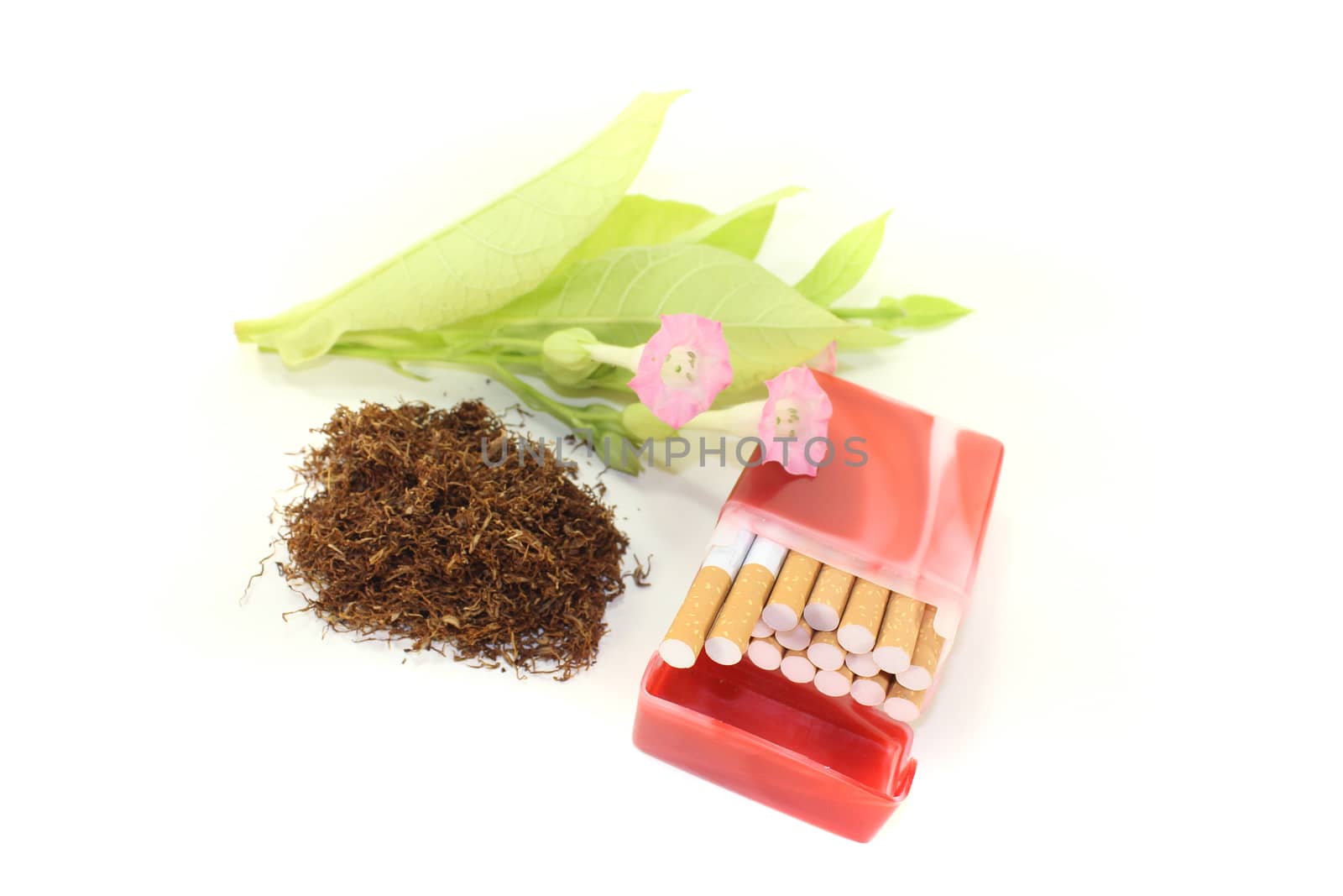 Tobacco with cigarettes case on a light background