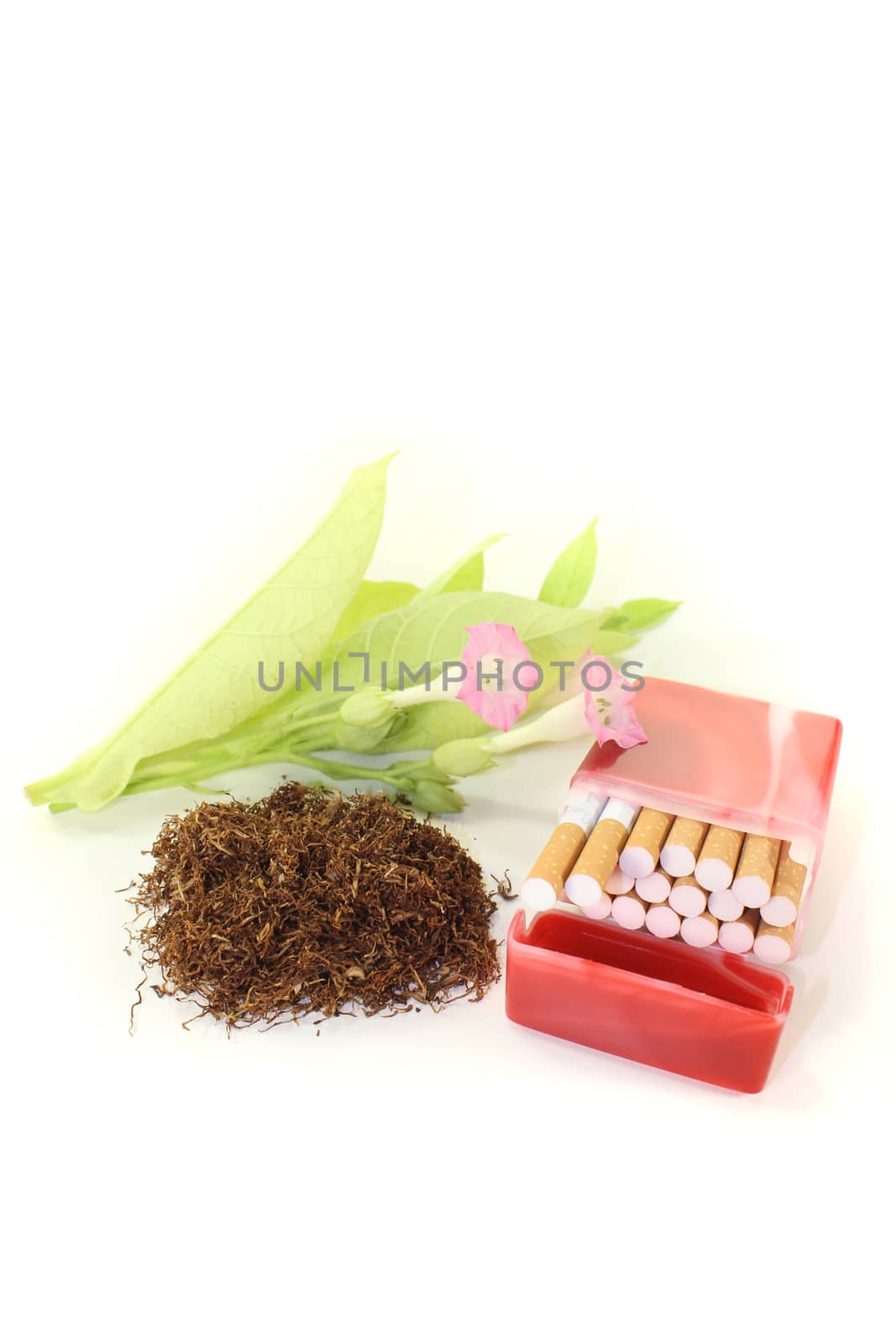 Tobacco with cigarettes case, leafs and blossoms on a light background