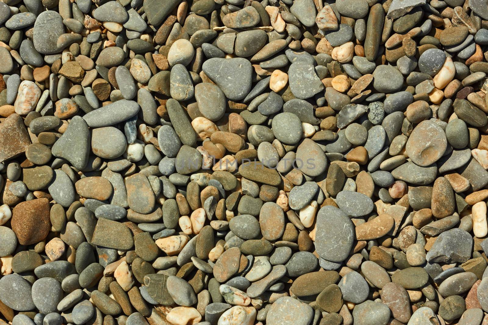 Fragment of pebble beach with flat colored pebbles close-up in bright sunlight