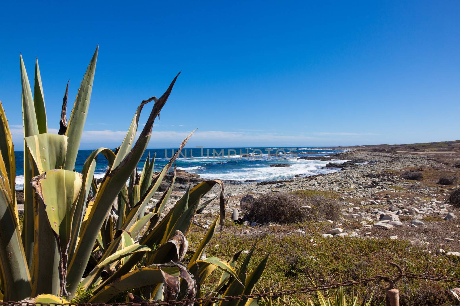 View out to Atlantic Ocean sea from Robben Island, South Africa.
Taken with a Canon 5D MKII and professionally retouched.
Thank you for looking.