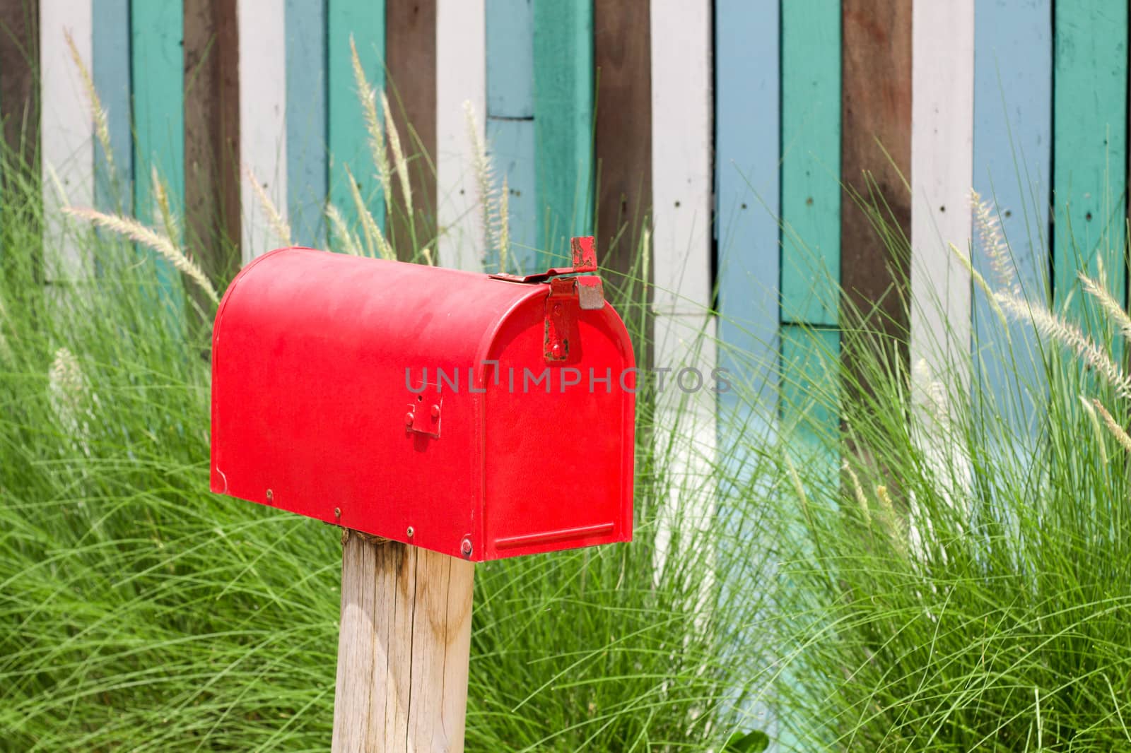 A plain Red Mailbox  in front of some bushes.
