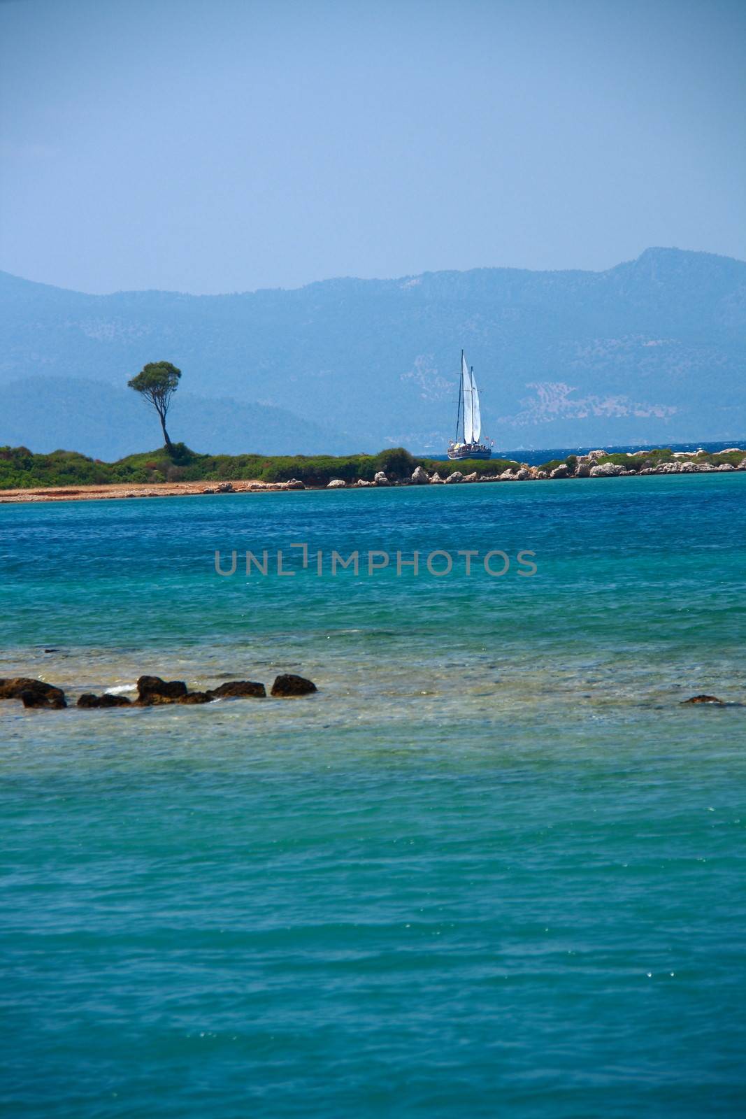 lonely tree on island with view of tourquoise sea and mountain