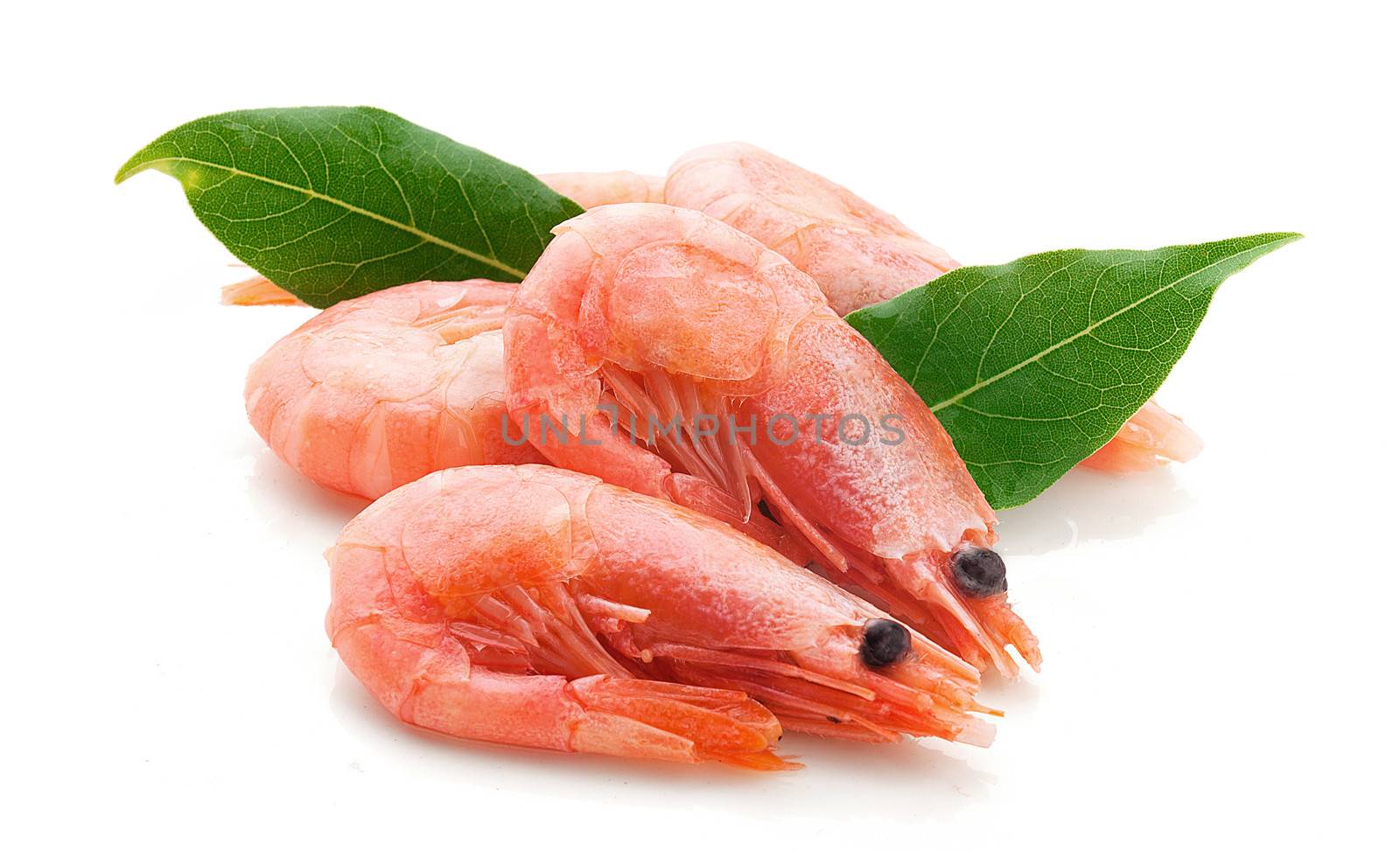 Handful of red coldwater shrimps with green bay leaf