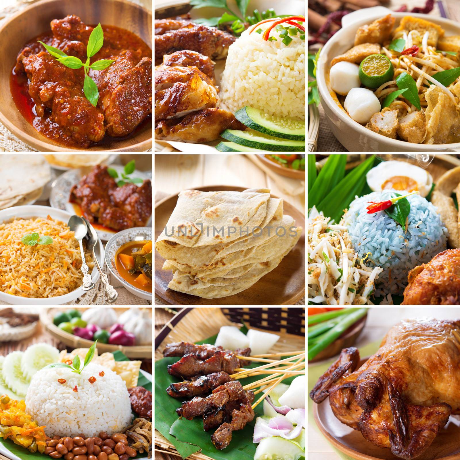 Asian food collection. Various Asia cuisine, curry, rice, noodles, biryani, roti chapatti, nasi kerabu, nasi lemak, satay and roast chicken.