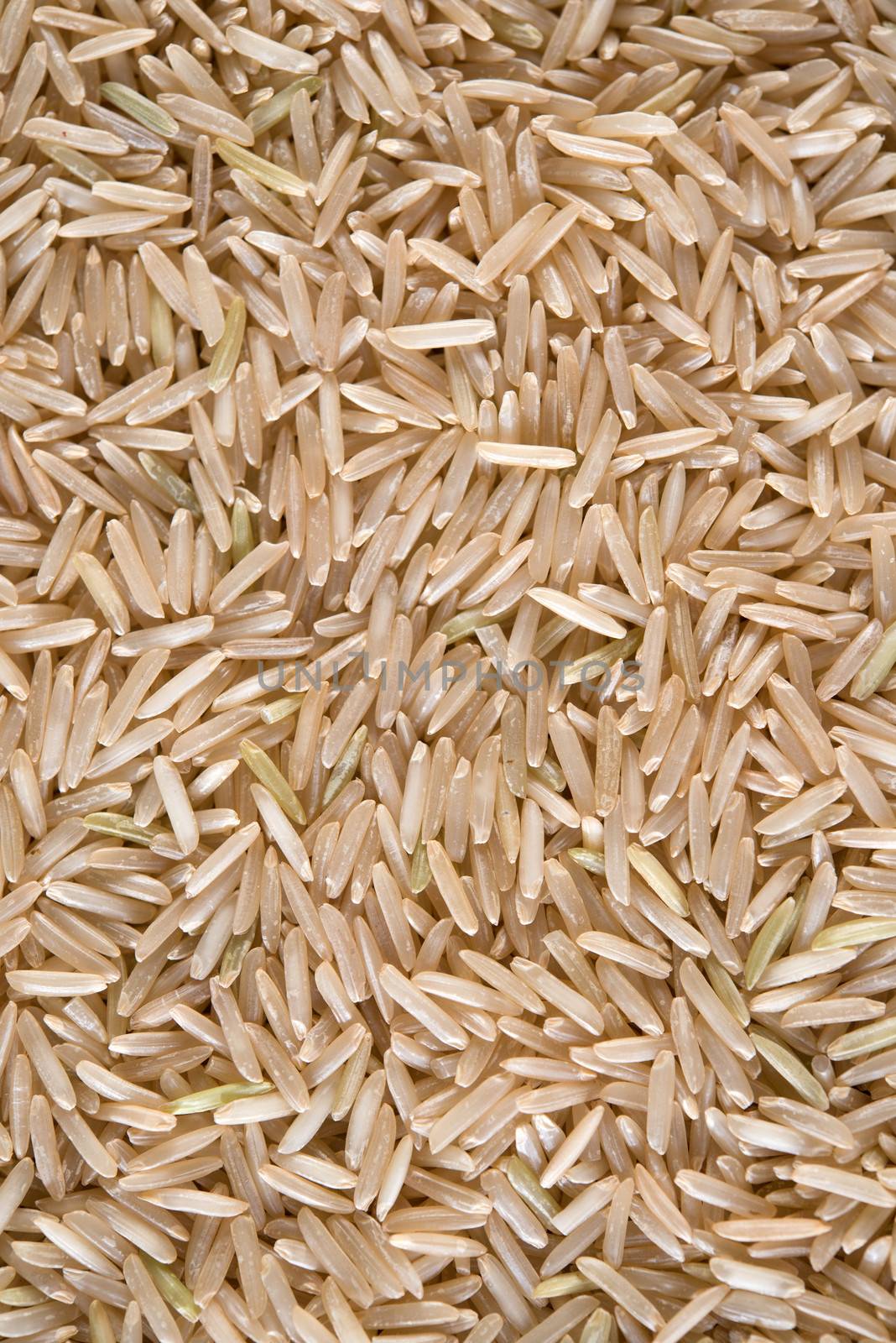 India raw organic basmati brown rice.