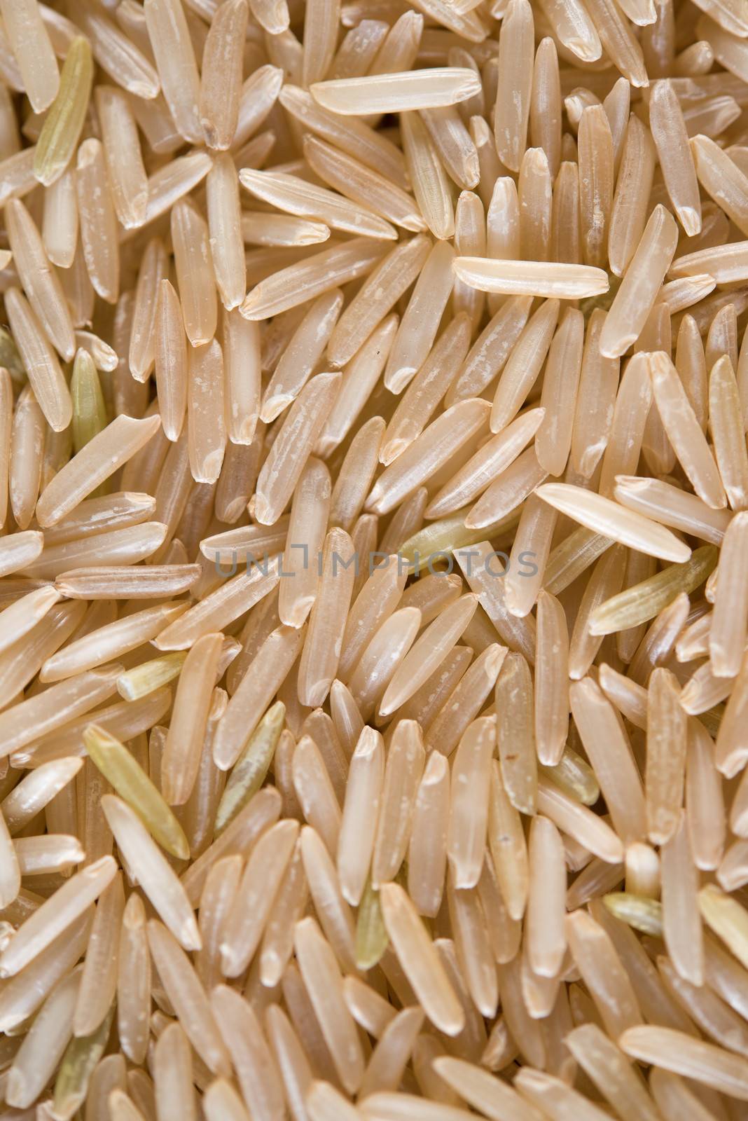 Close up India raw organic basmati brown rice.