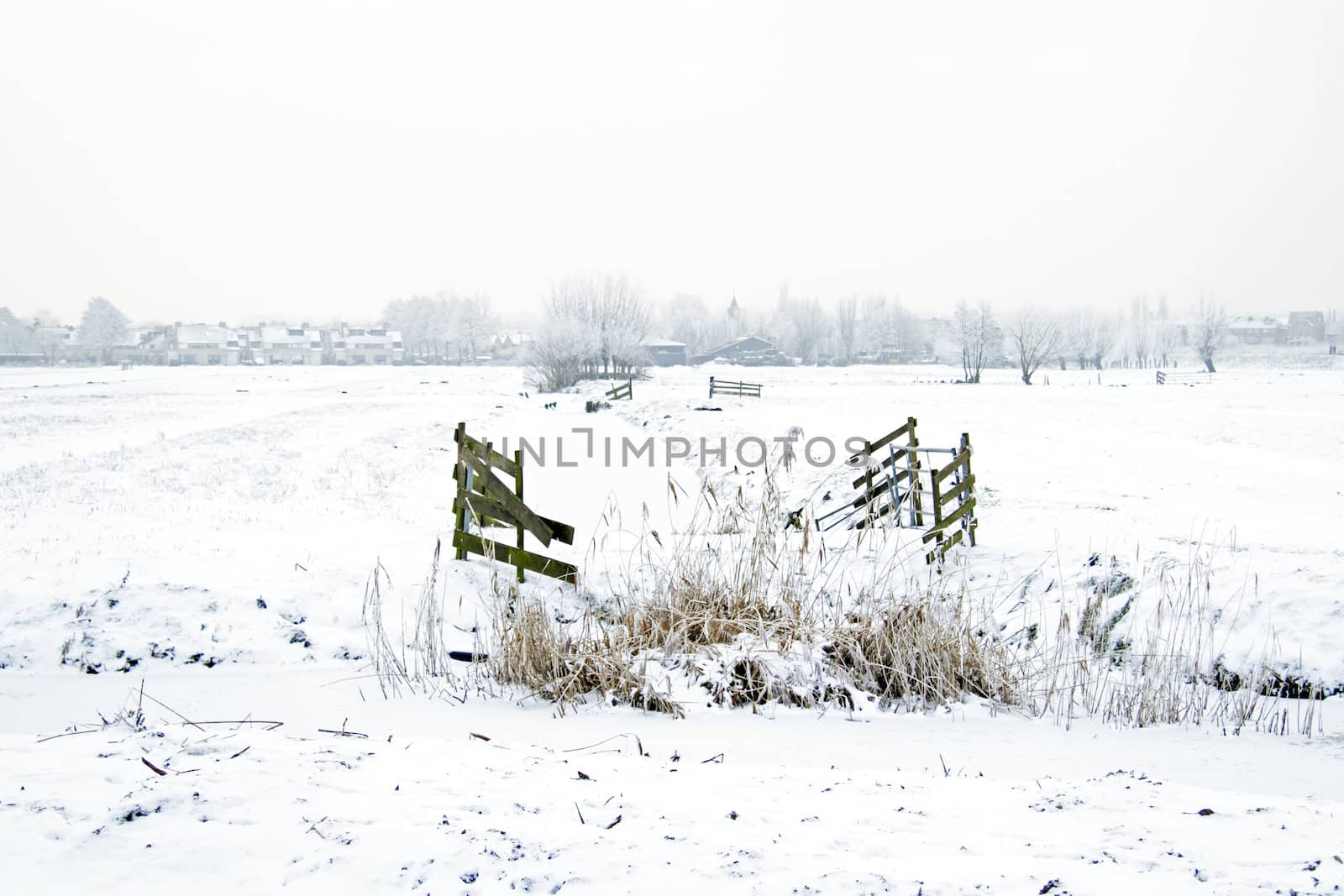 Snowy landscape in winter in the Netherlands