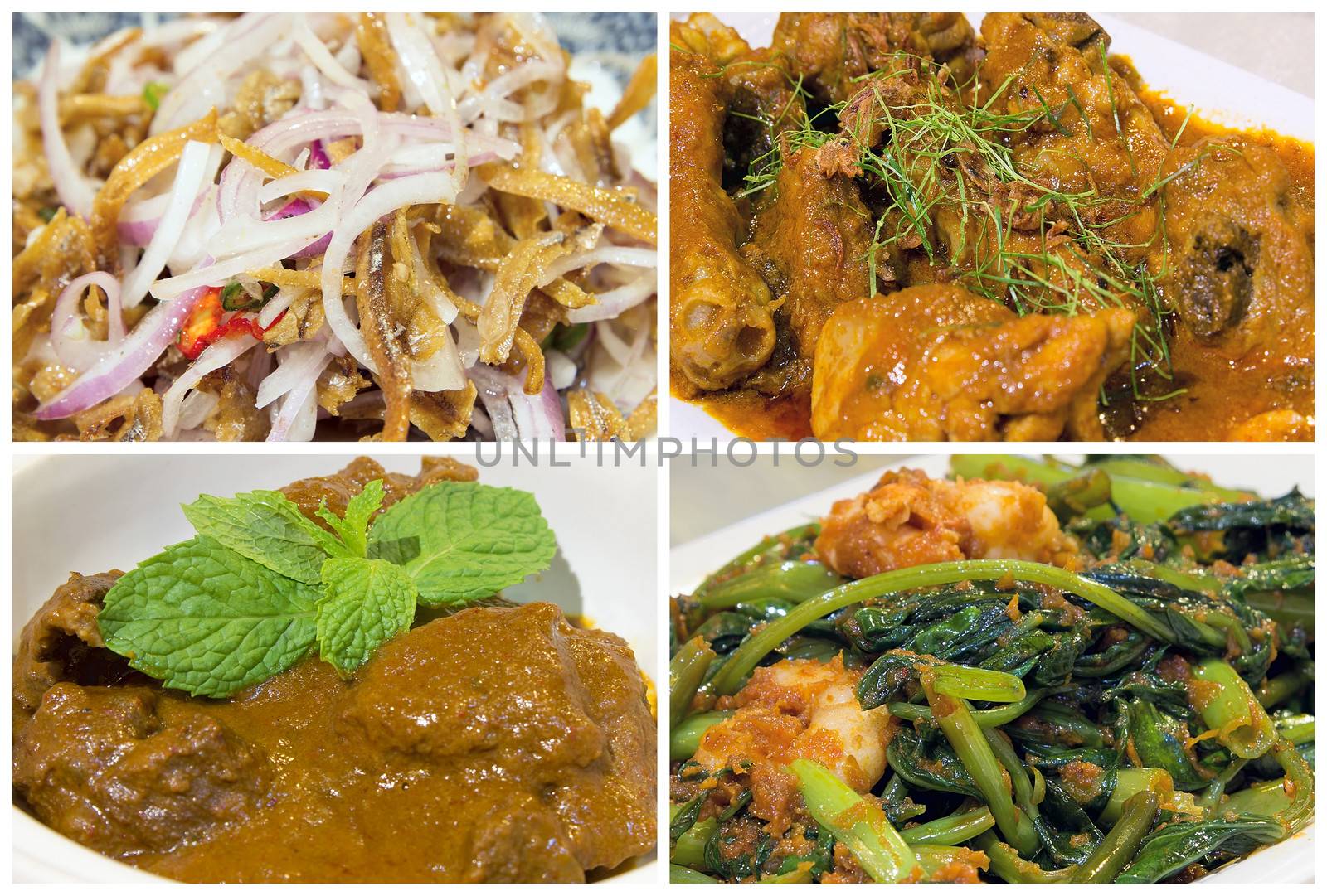 Nyonya Peranakan Food Collage with Beef Rendang Curry Chicken Ikan Bilis Chili Onions and Kangkong Prawns Dish Closeup Collage