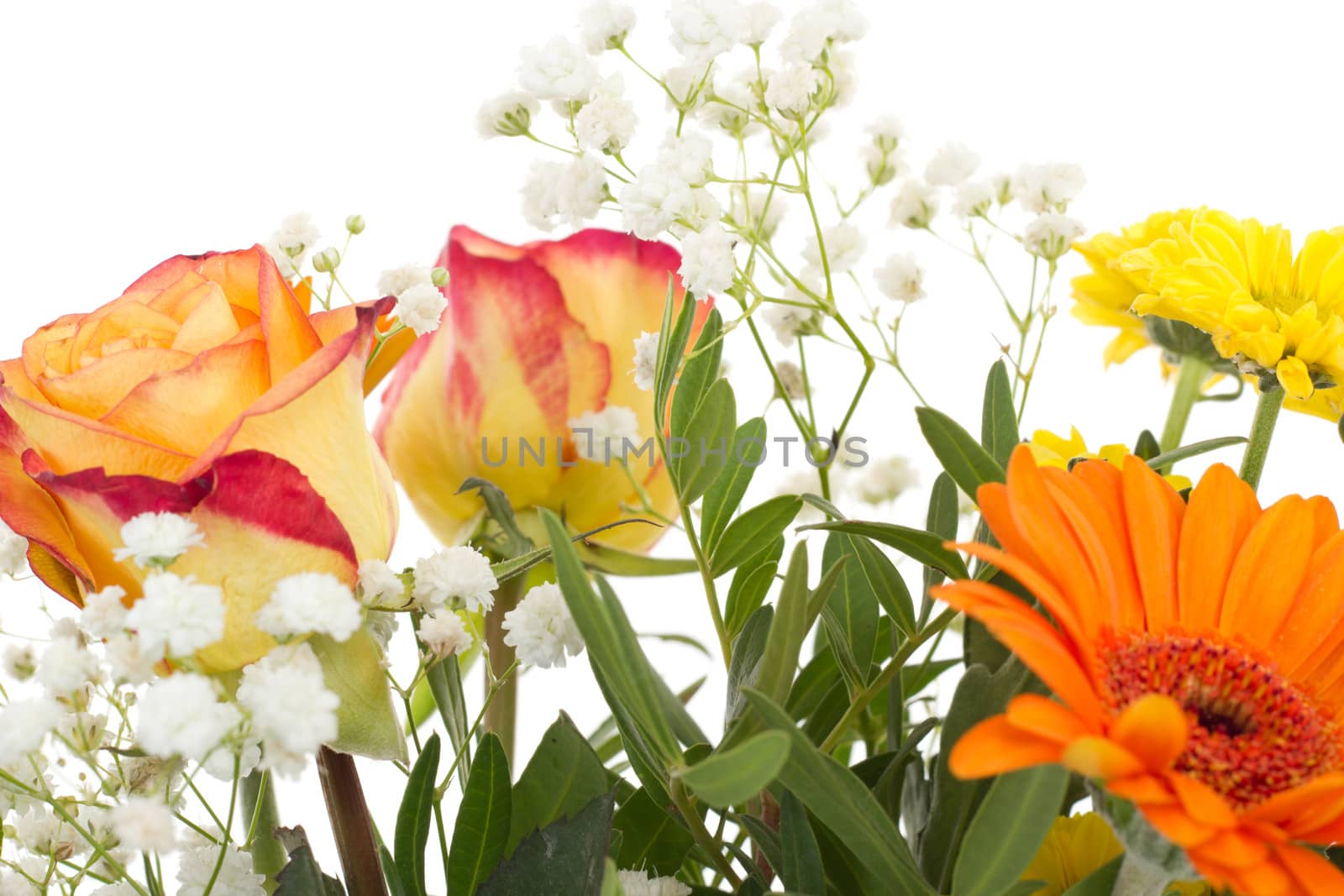 Beautiful bouquet of spring flowers