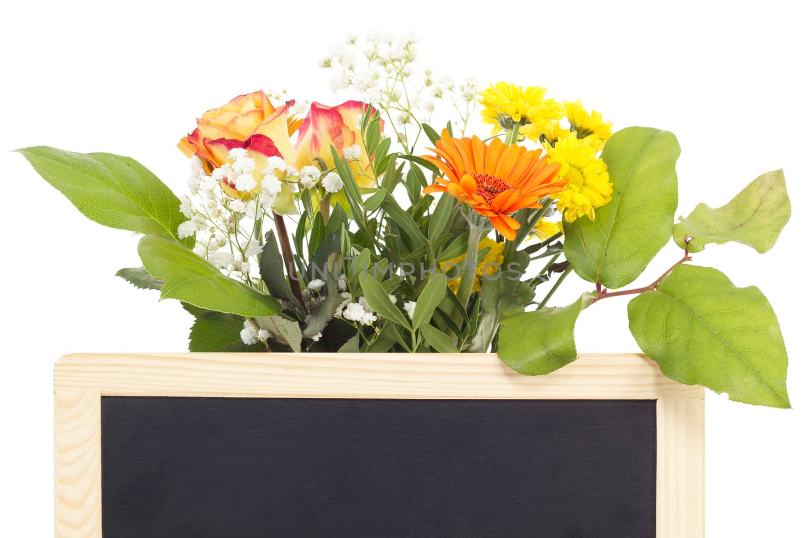 Beautiful vernal flowers behind blank blackboard