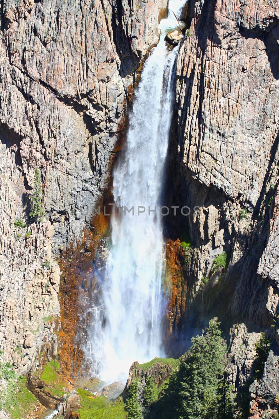 Bucking Mule Falls flows into a huge canyon in the Bighorn National Forest of Wyoming.