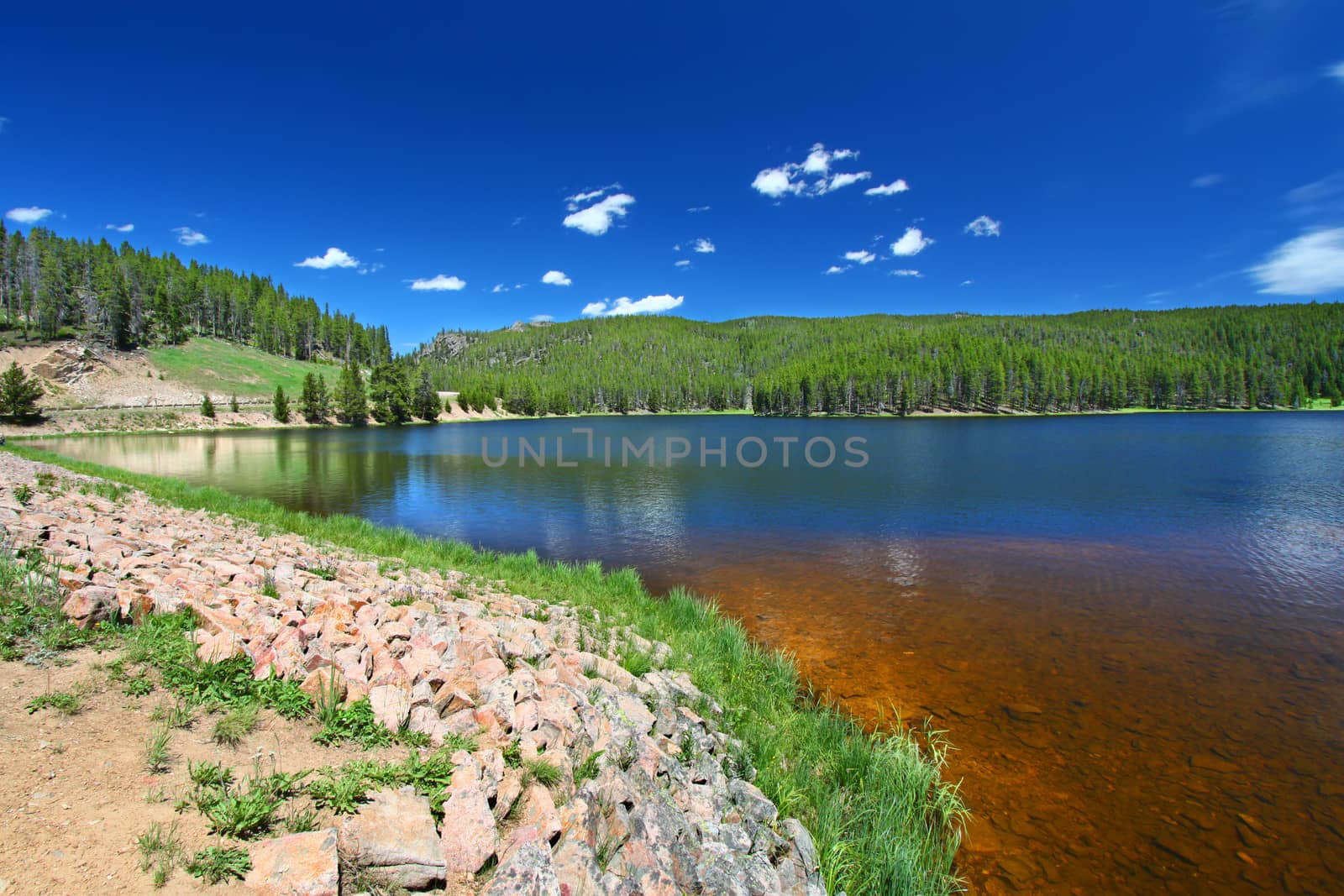 Grass grows along Sibley Lake in the Bighorn National Forest of Wyoming.