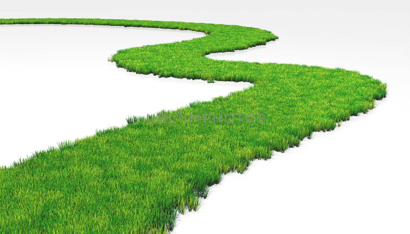 a path made of lawn that grows in a white ground, winds in a white background