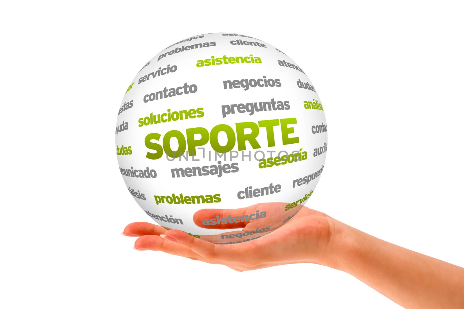 Hand holding a Support Word Sphere on white background.