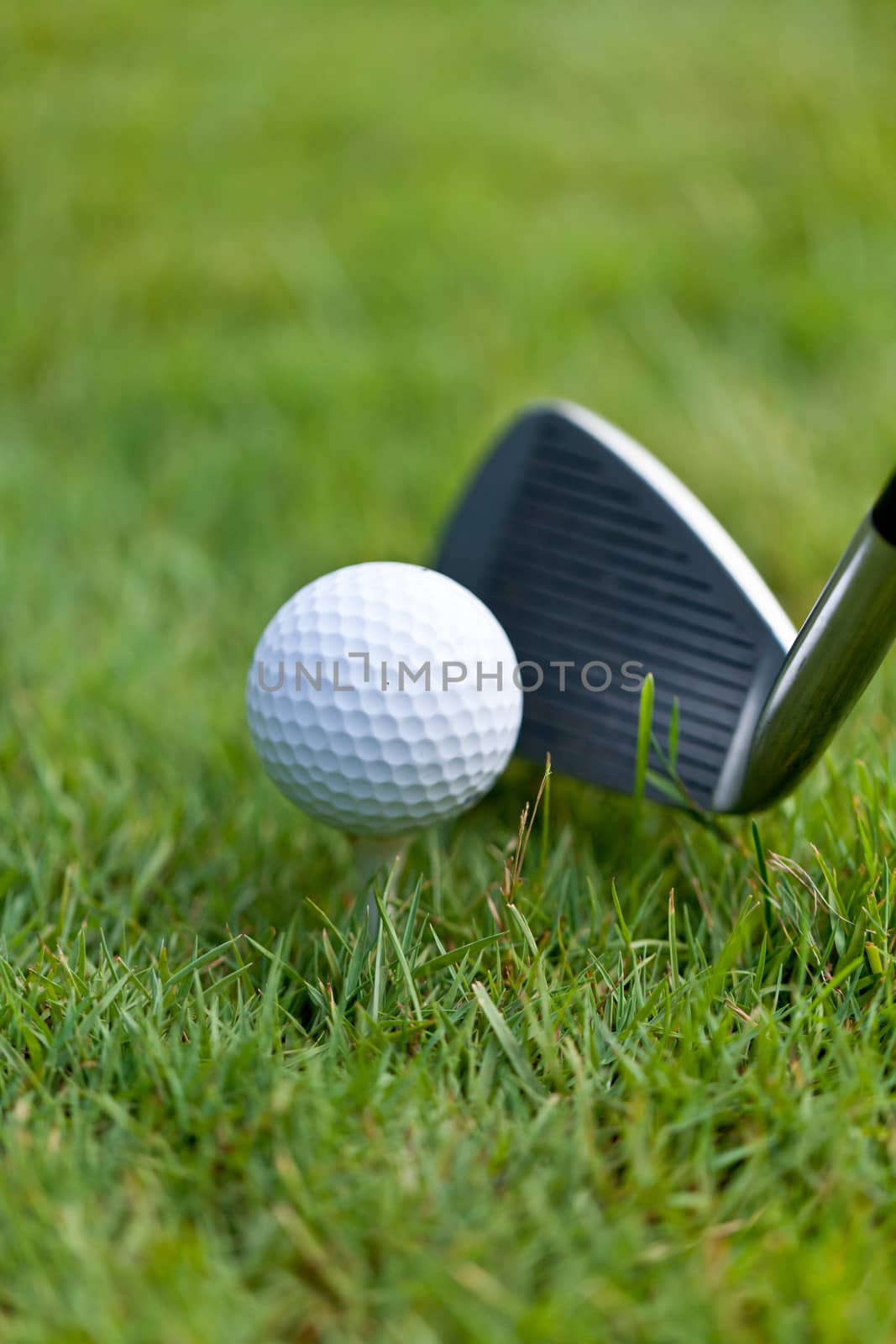 golf ball and iron on green grass detail macro summer outdoor playing golf 