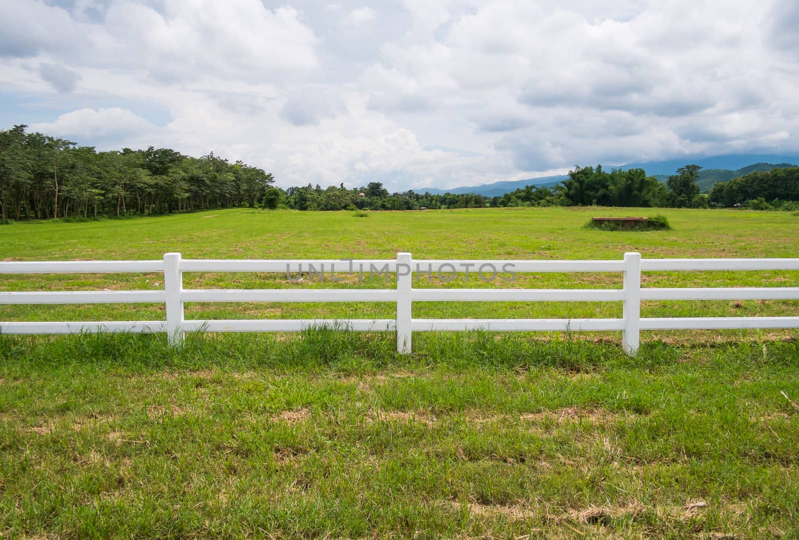 fence in farm field with cloudy by moggara12