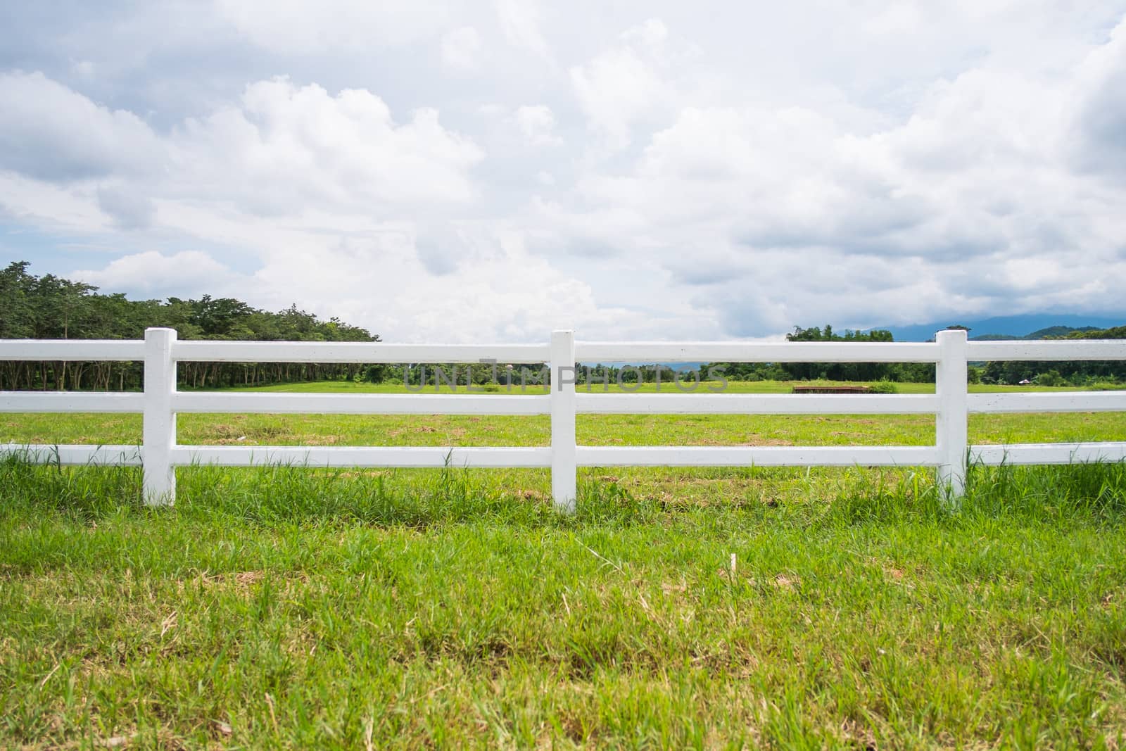 fence in farm field with cloudy by moggara12