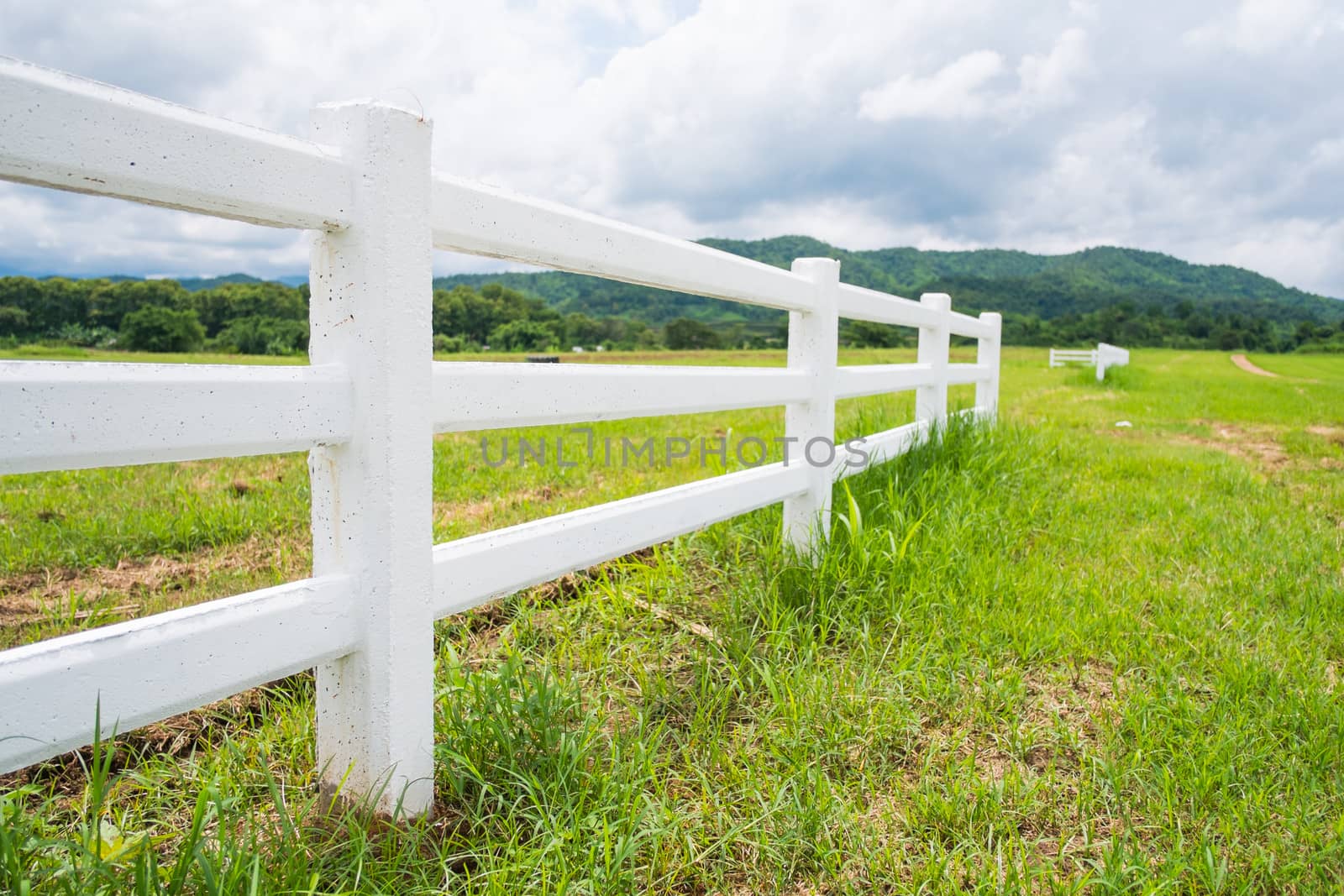 white fence in farm field and overcast sky