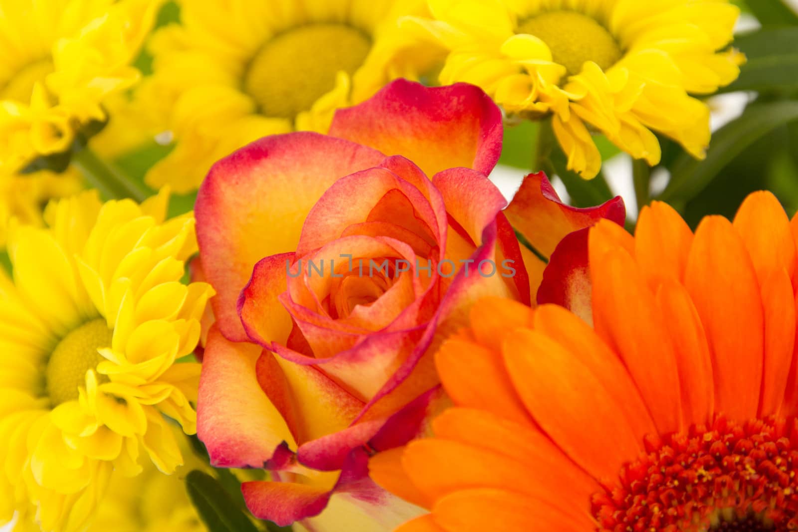 Close-up of colorful bunch of flowers