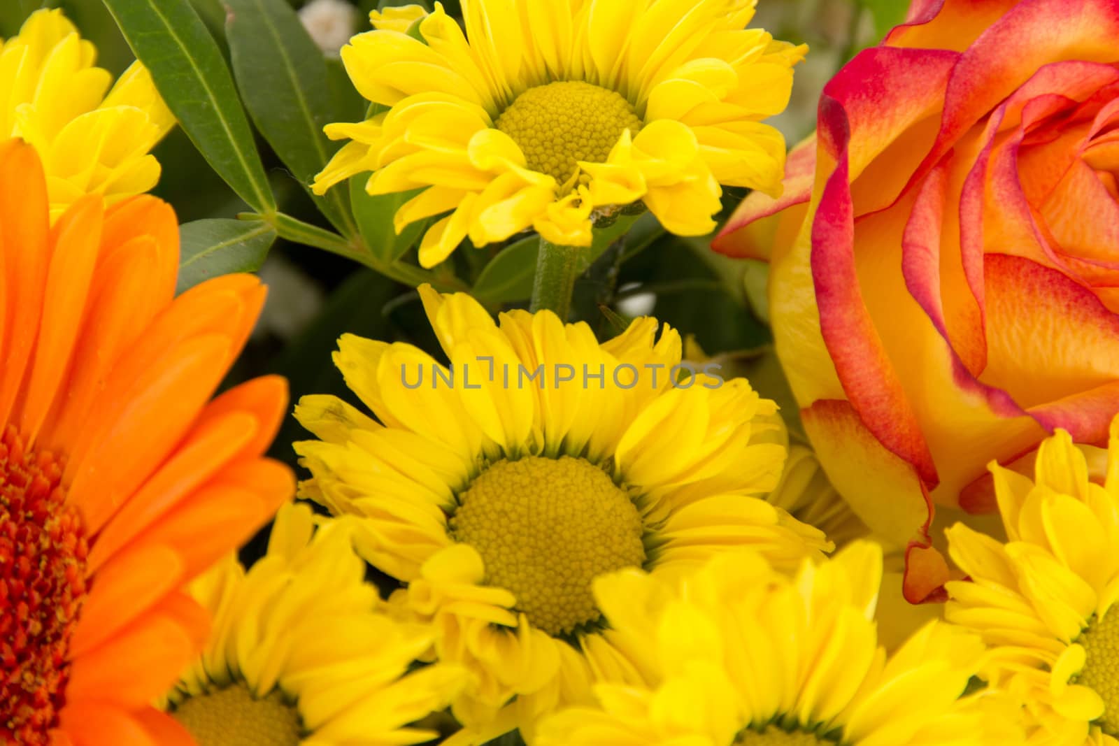 Cutout of beautiful and colorful bouquet