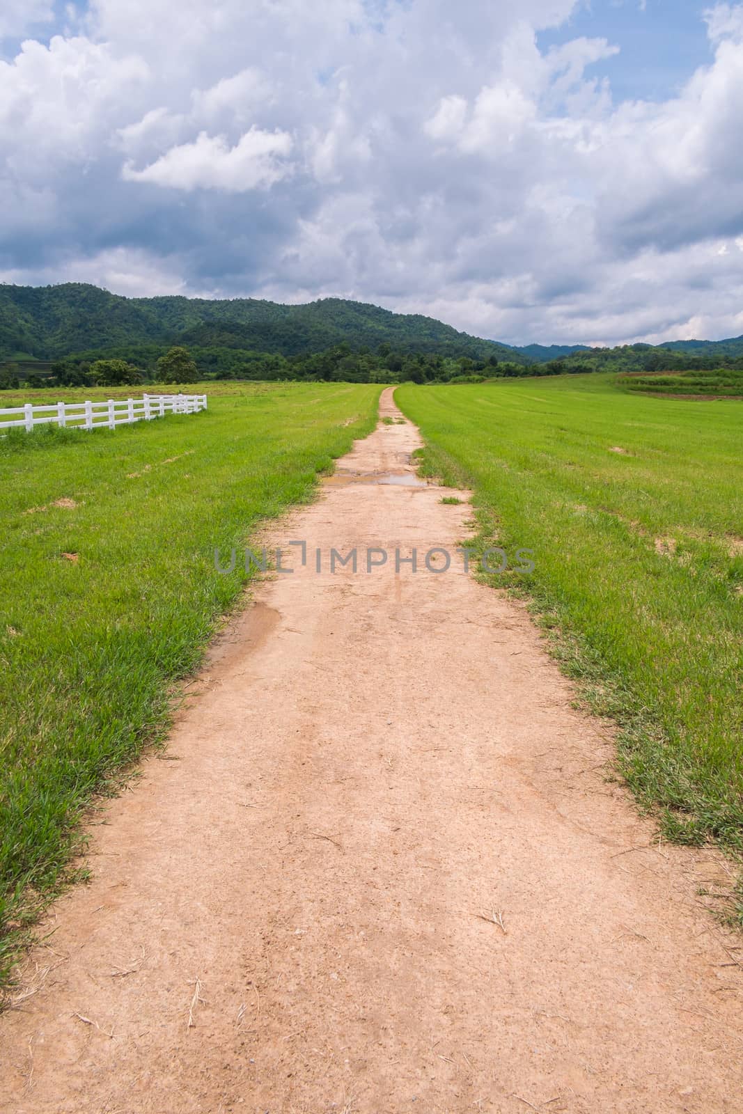 Dirt road in farm field with overcast sky