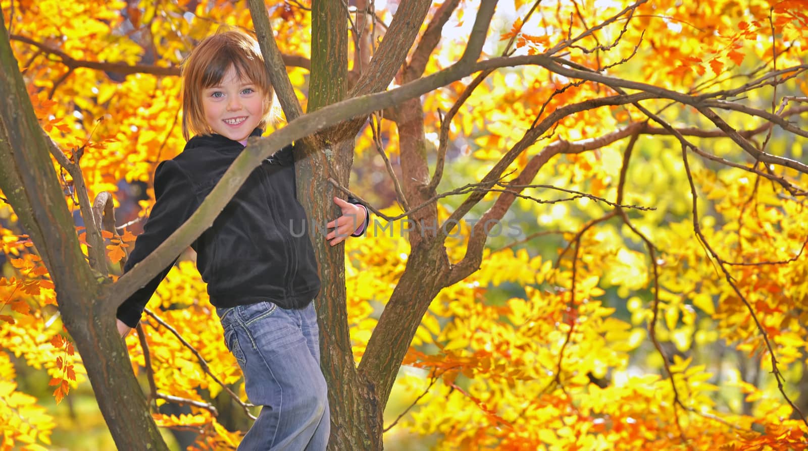girl hanging from a tree by mady70