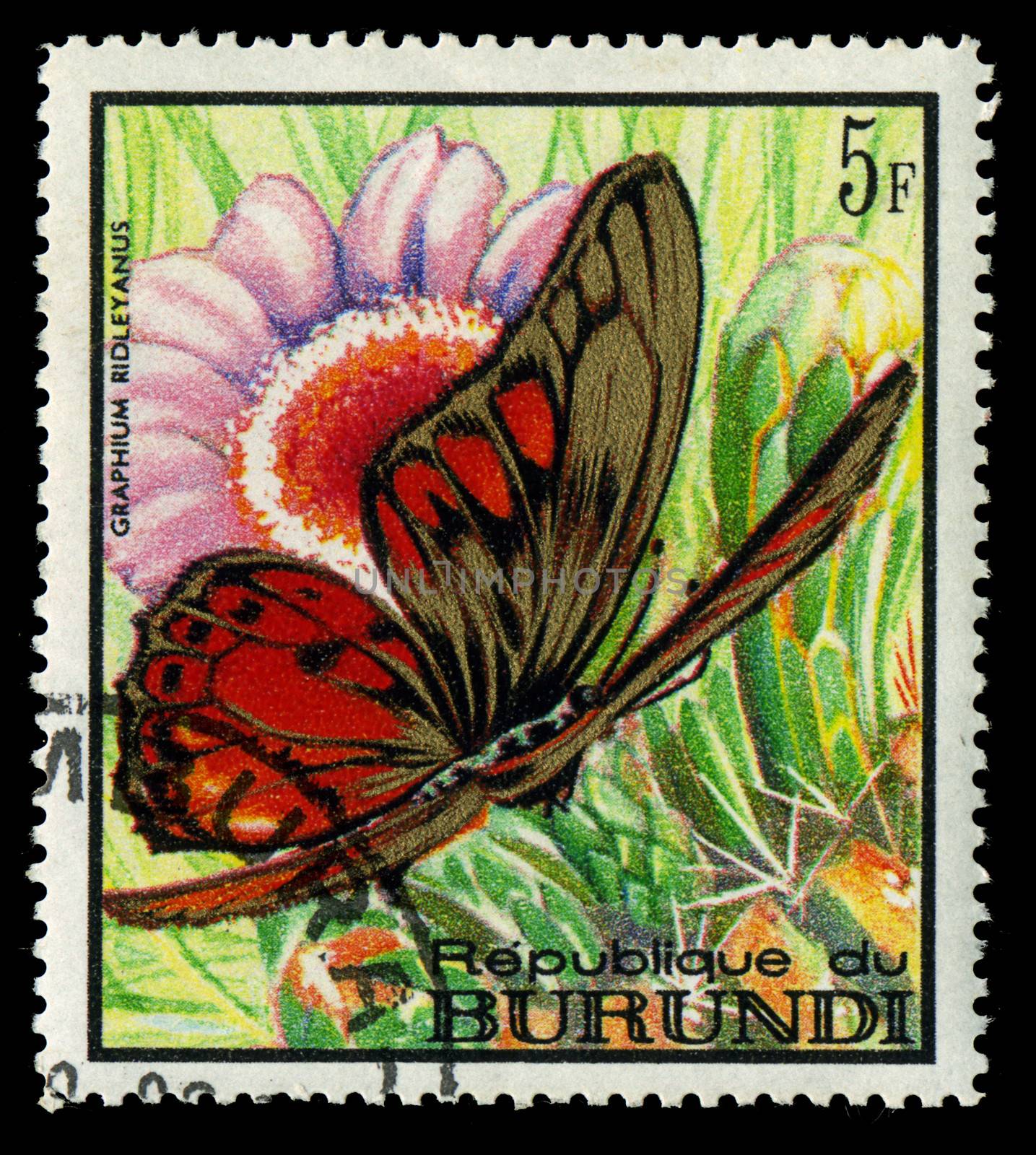 BURUNDI - CIRCA 1968: A stamp printed in Burundi, shows butterfly Graphium Ridleyanus, series, circa 1968 by Zhukow