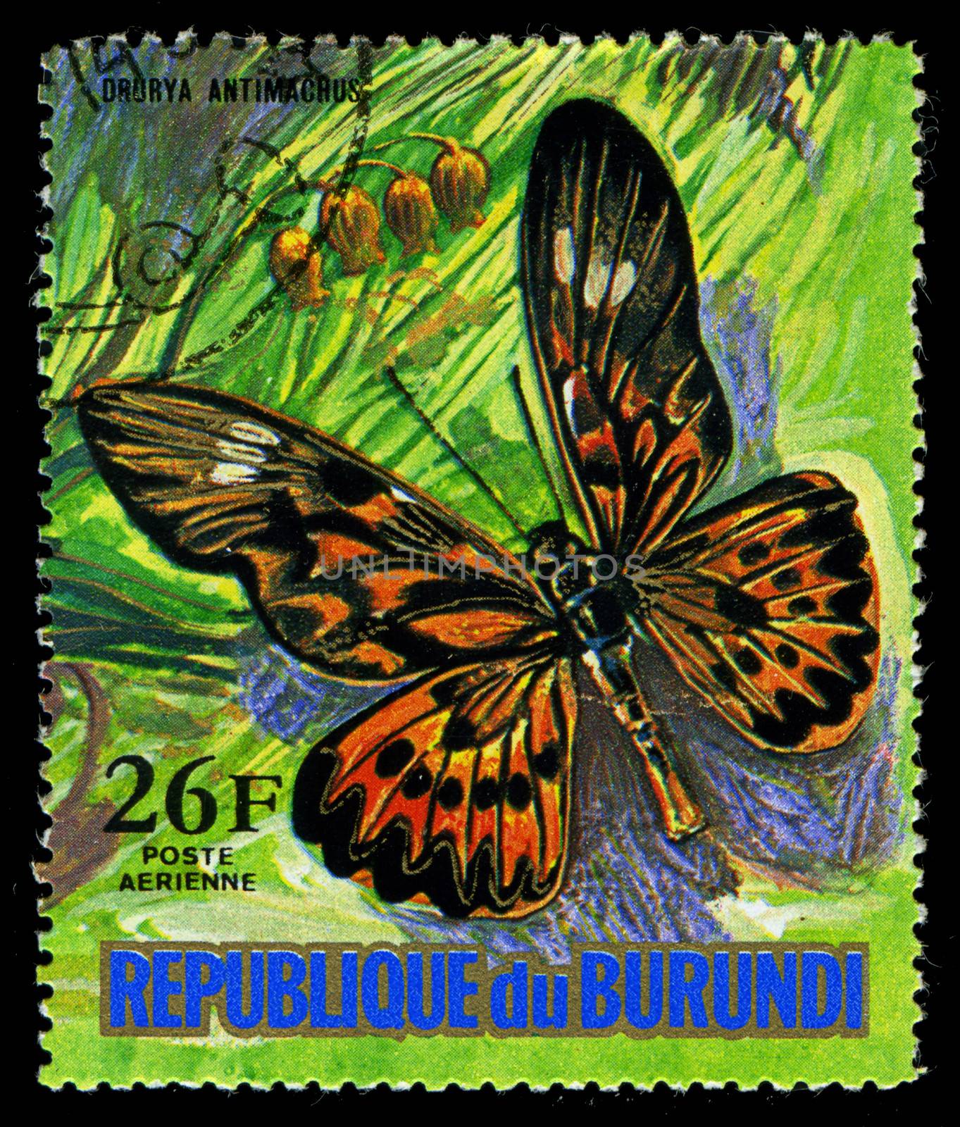 REPUBLIC OF BURUNDI - CIRCA 1974: A stamp printed in Burundi shows a butterfly Drurya Antimacrus, series, circa 1974 by Zhukow