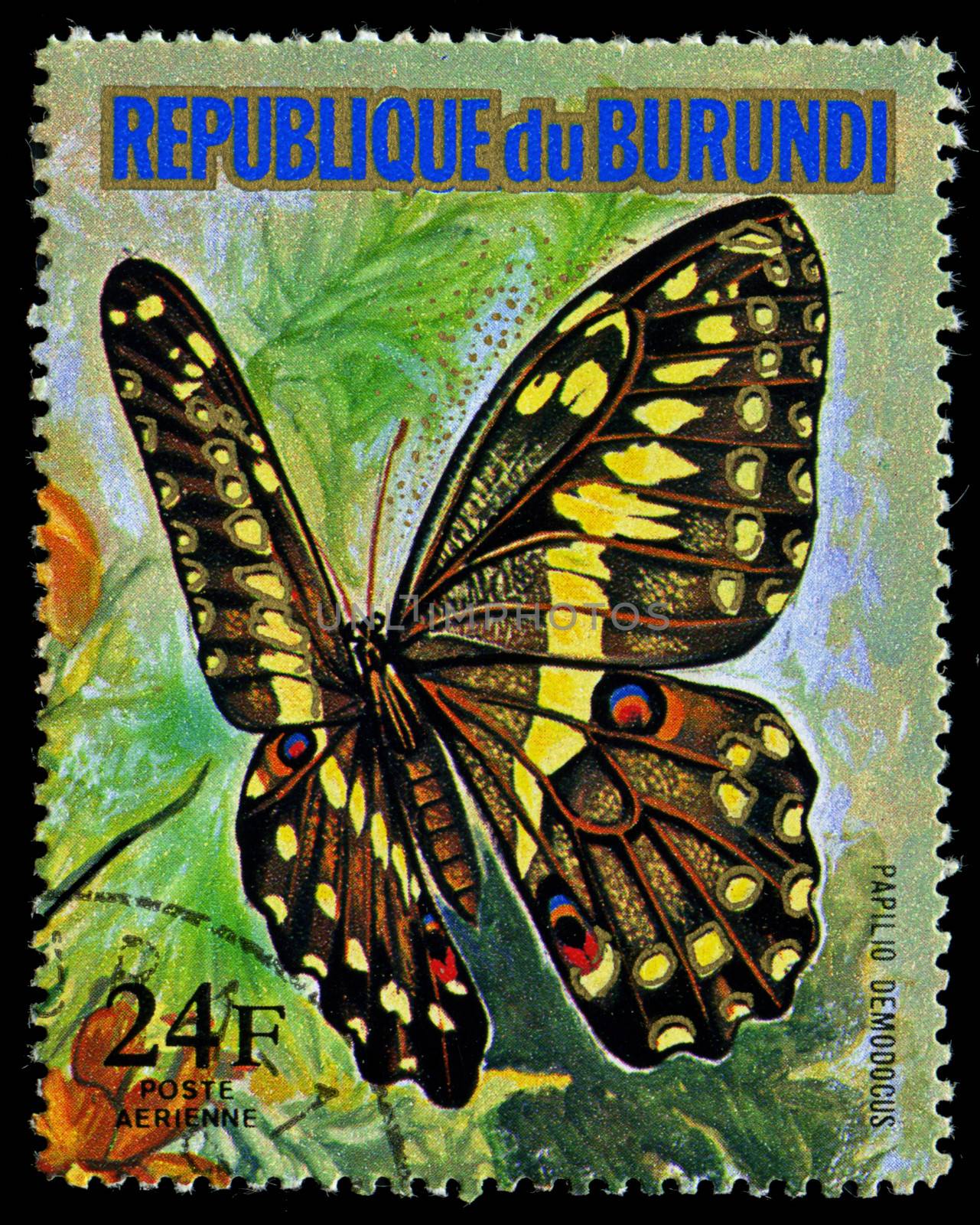 REPUBLIC OF BURUNDI - CIRCA 1974: A stamp printed in Burundi shows a butterfly Papillo Demodocus, series, circa 1974 by Zhukow