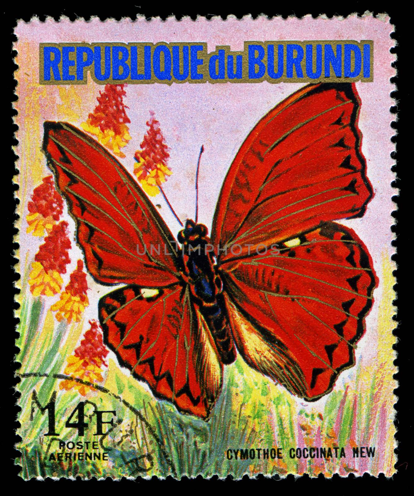 REPUBLIC OF BURUNDI - CIRCA 1974: A stamp printed in Burundi shows a butterfly Cymothoe Coccinata New, series, circa 1974 by Zhukow