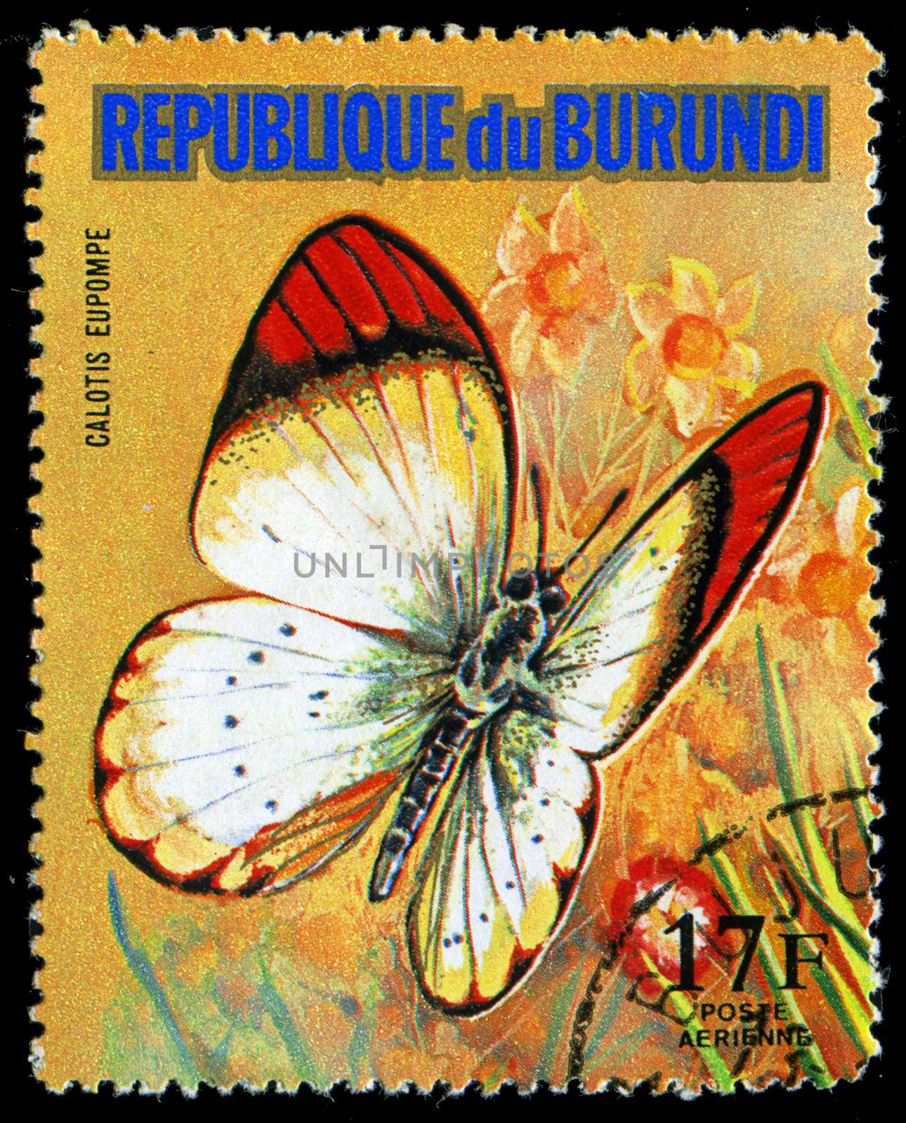 REPUBLIC OF BURUNDI - CIRCA 1974: A stamp printed in Burundi shows a butterfly Calotis Eupompe, series, circa 1974 by Zhukow