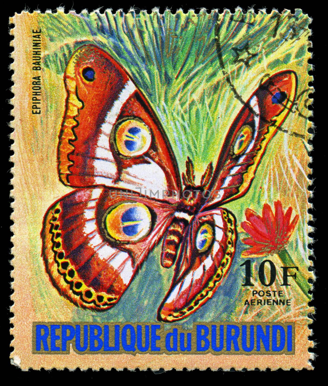 REPUBLIC OF BURUNDI - CIRCA 1974: A stamp printed in Burundi shows a butterfly Epiphora Bauhiniae, series, circa 1974