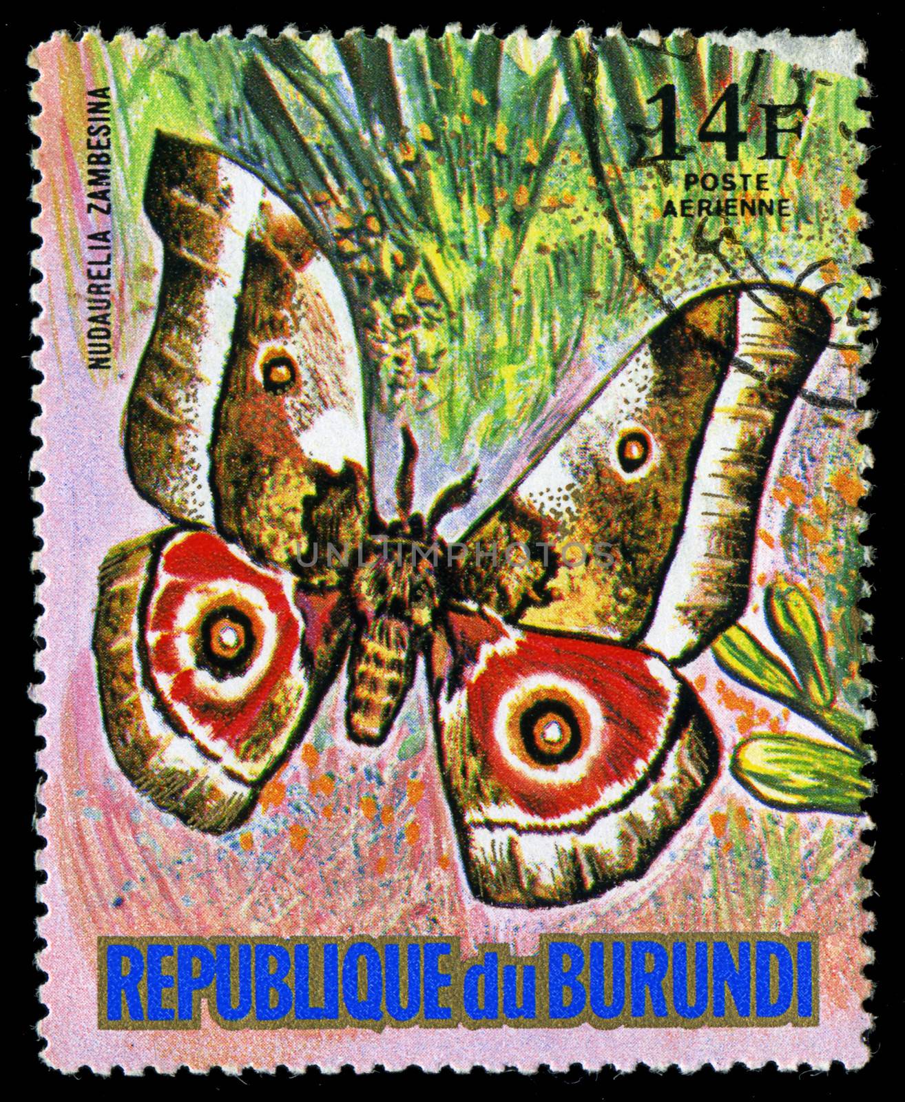 REPUBLIC OF BURUNDI - CIRCA 1974: A stamp printed in Burundi shows a butterfly Nudaurelia Zambesina, series, circa 1974 by Zhukow