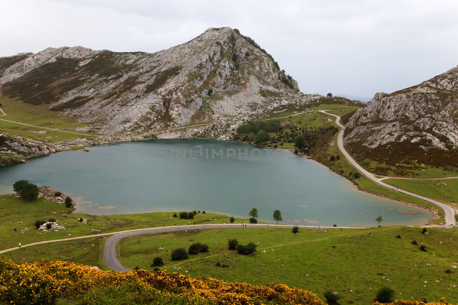 Fantastic lake Enol, one of the famous lakes of Covadonga, Asturias ,  Spain