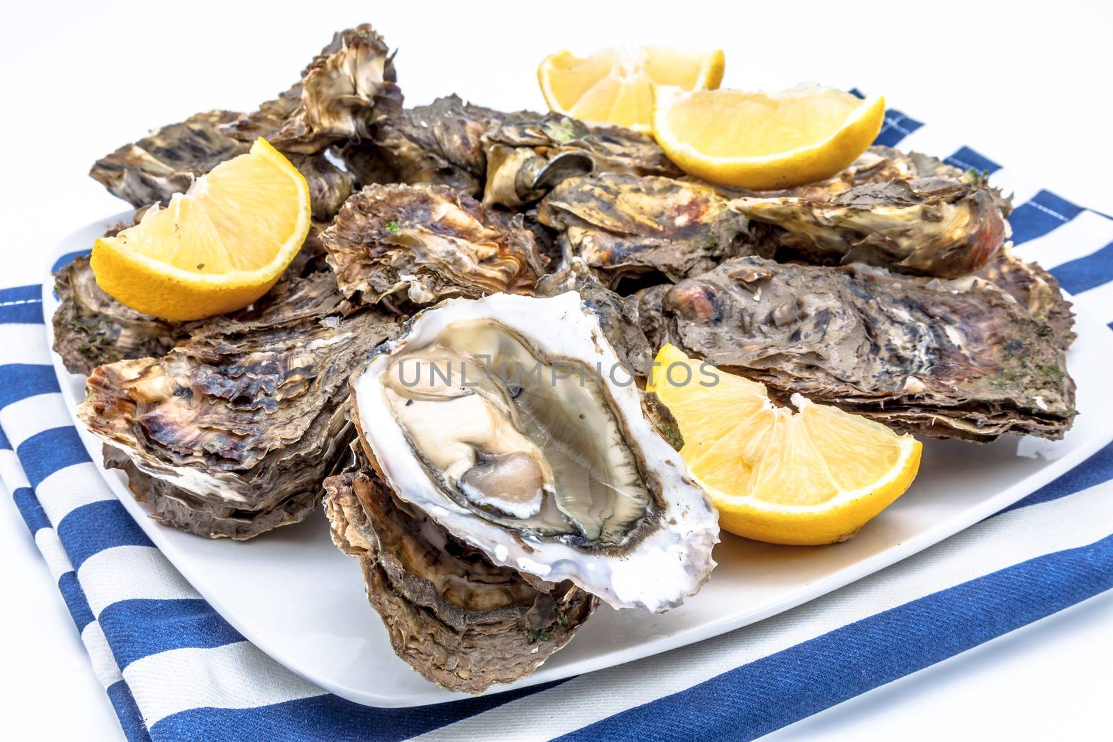 Lots of oysters on a dish with lemon