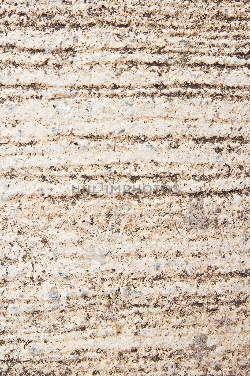 cement wall texture and background