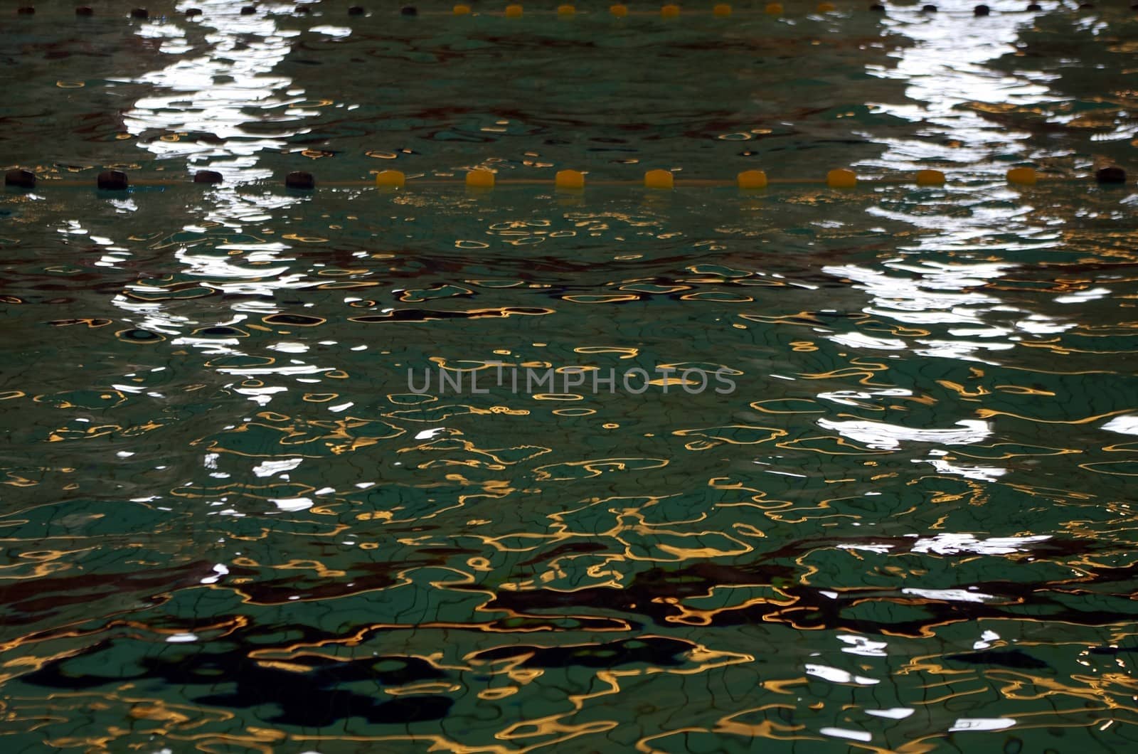 Light shimmers on the surface of a swimming pool