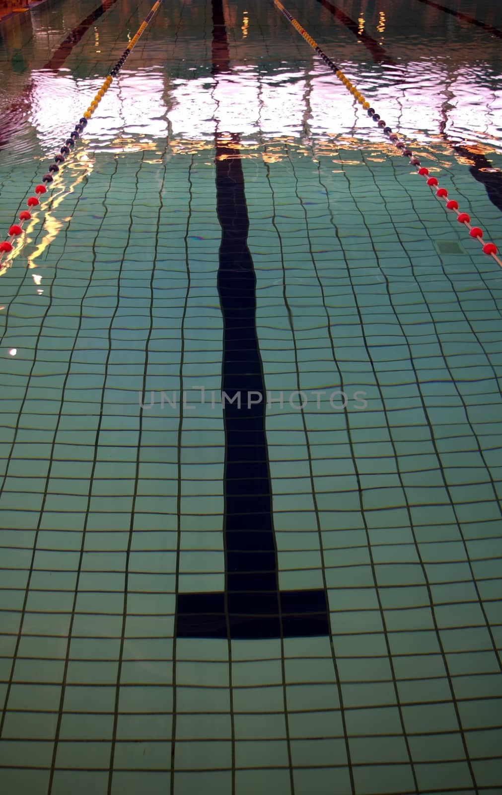 Lane of a swimming pool with sunlight reflecting off surface