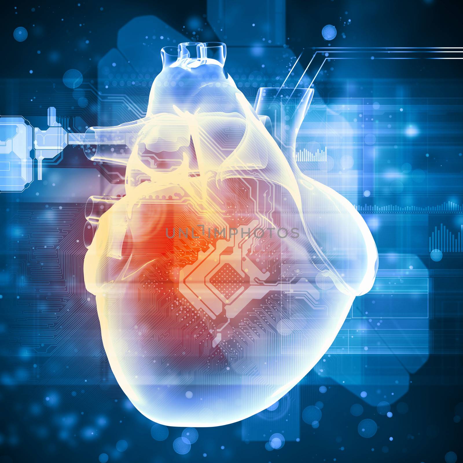 Virtual image of human heart with cardiogram