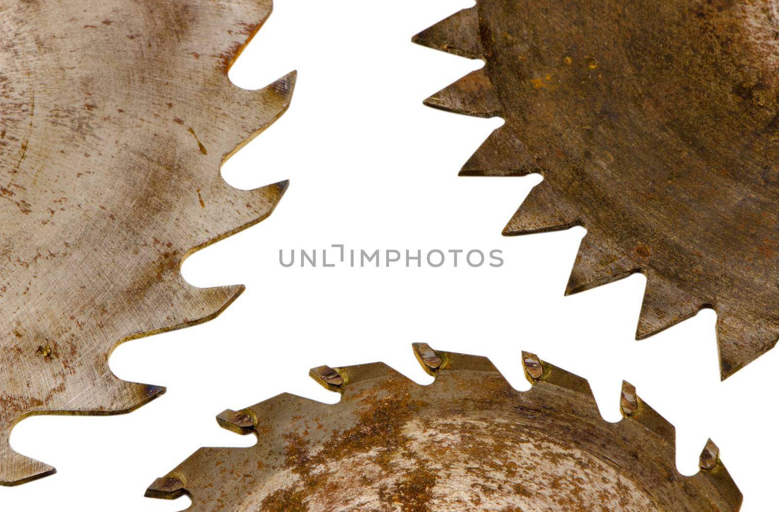 three circular electric saw disks parts with different blades closeup isolated on white backgound.