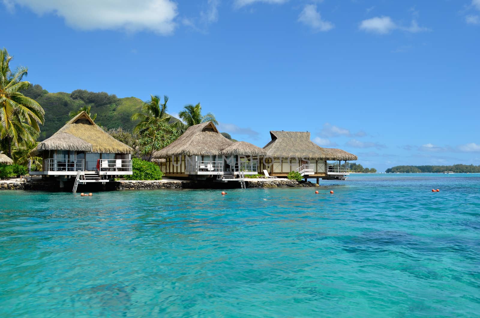 Luxury thatched roof honeymoon bungalows in a vacation resort in the clear blue lagoon of the tropical island of Moorea, near Tahiti, in French Polynesia.