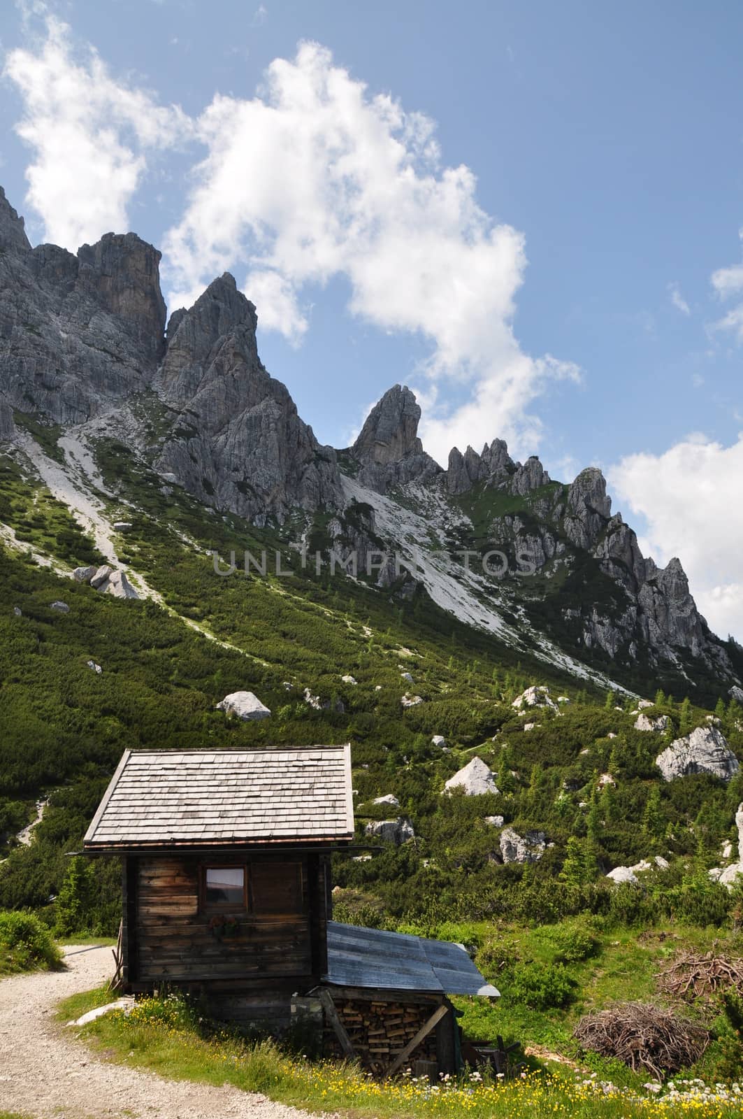 Chalet near refuge ciairedo in dolomites mountain