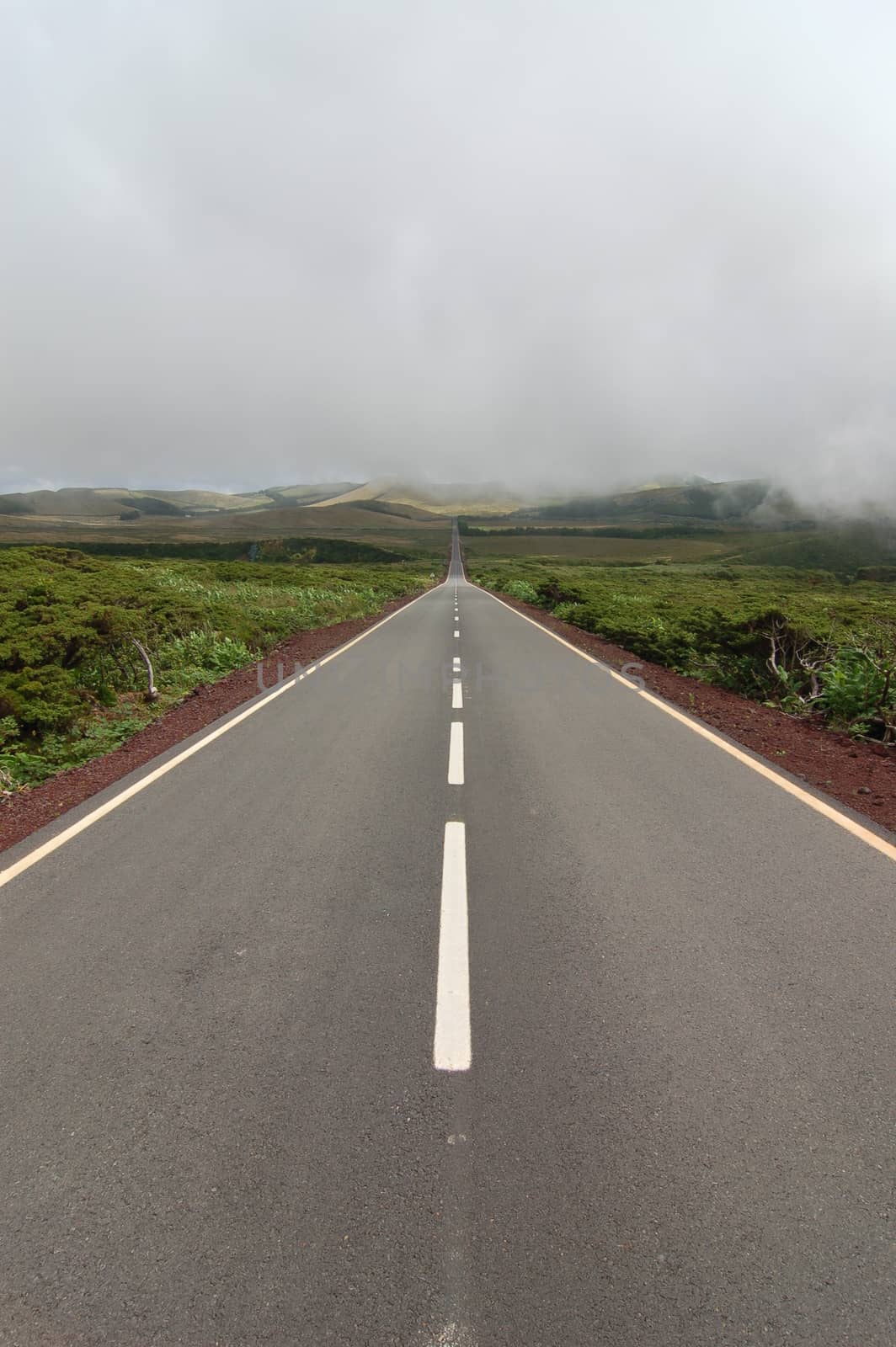 Road between the volcanoes in azores, fayal, portugal