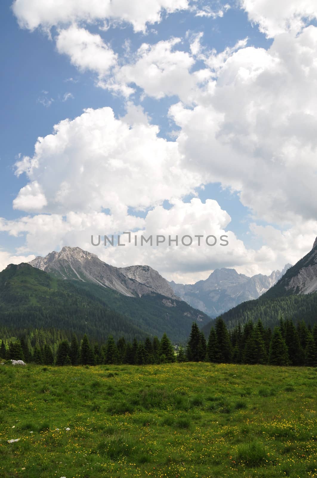 Approaching the source of the river Piave